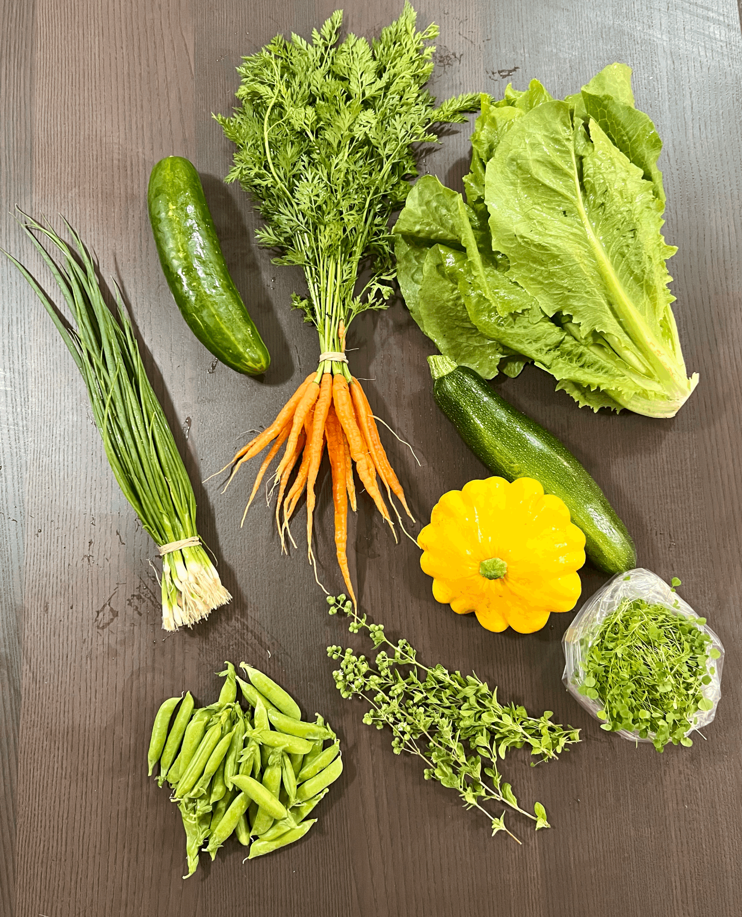 Week 5 CSA Veggie Haul 