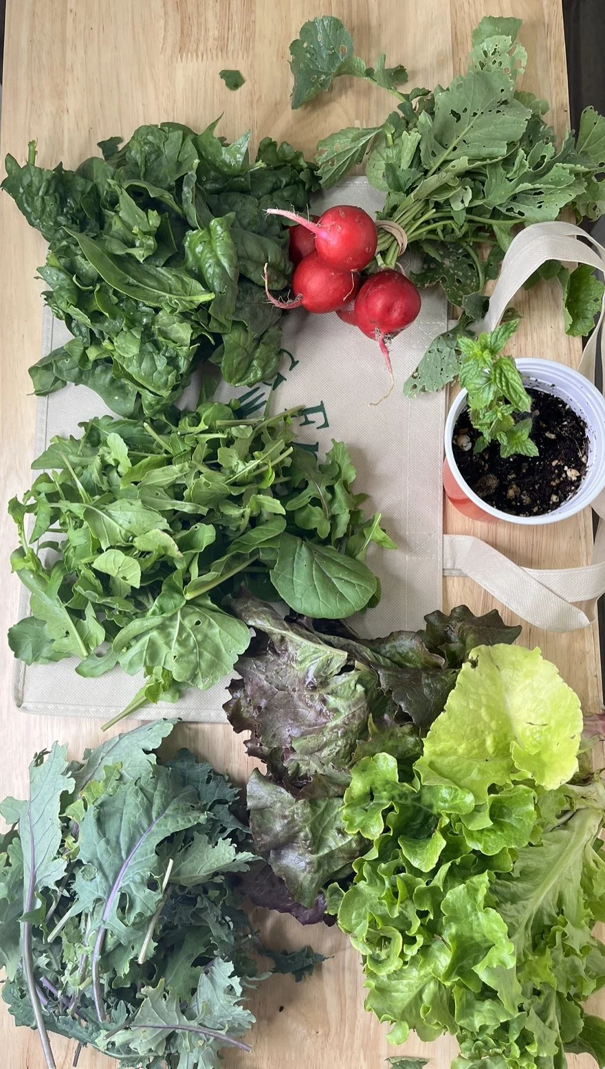 IG Fresh Haul Week 1