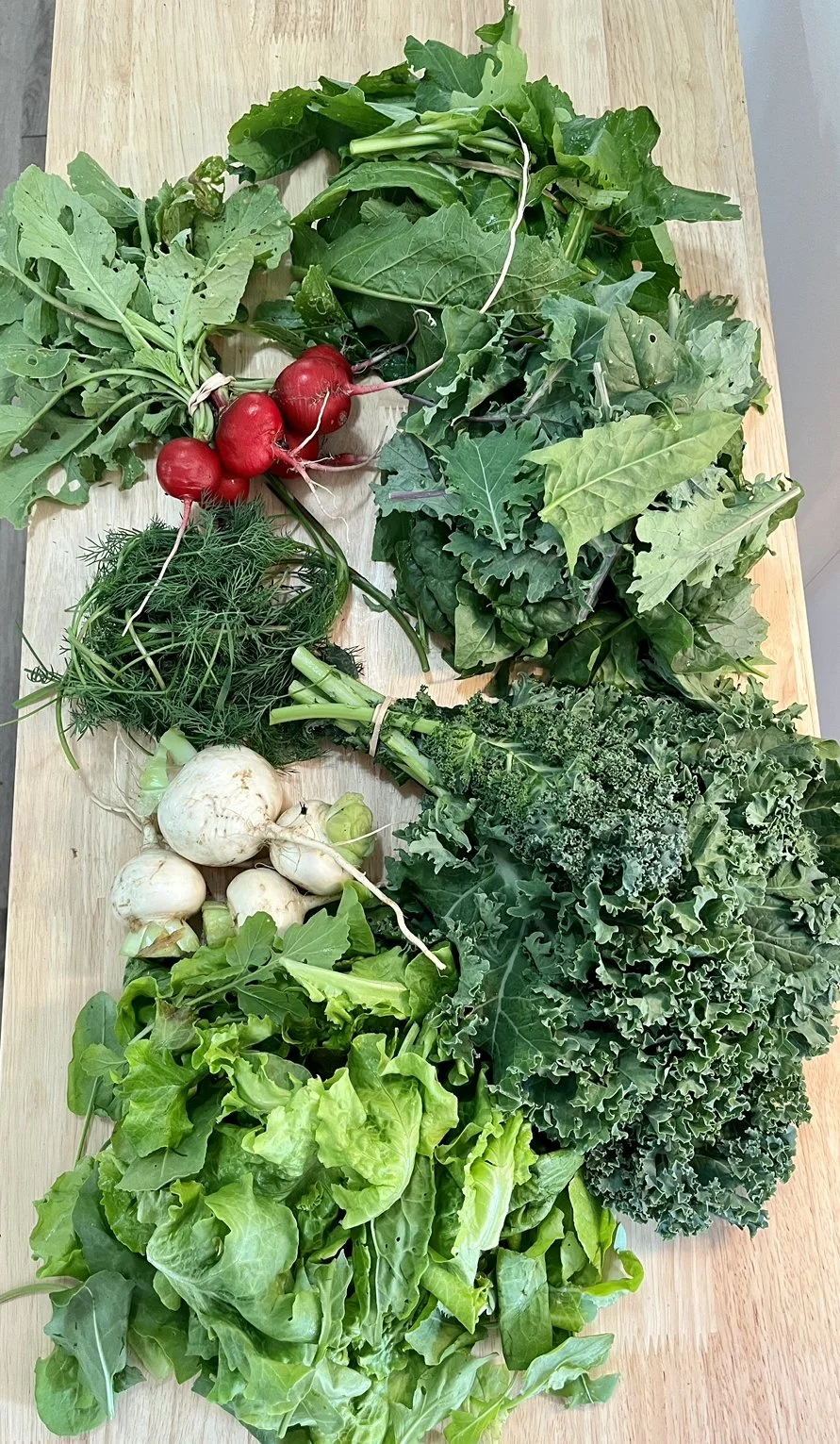 IG Fresh Haul Week 2