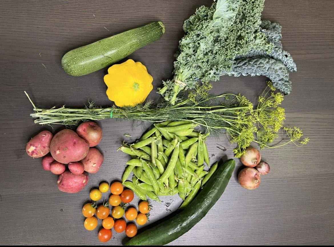 IG Fresh Haul Week 7