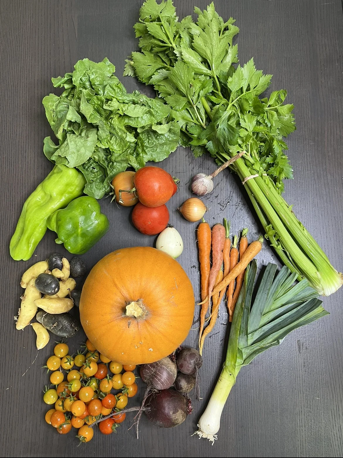 IG Fresh Haul Week 12