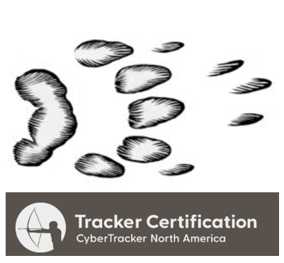 Workshop (Tues full day):  One-Day Certification with CyberTracker Conservation