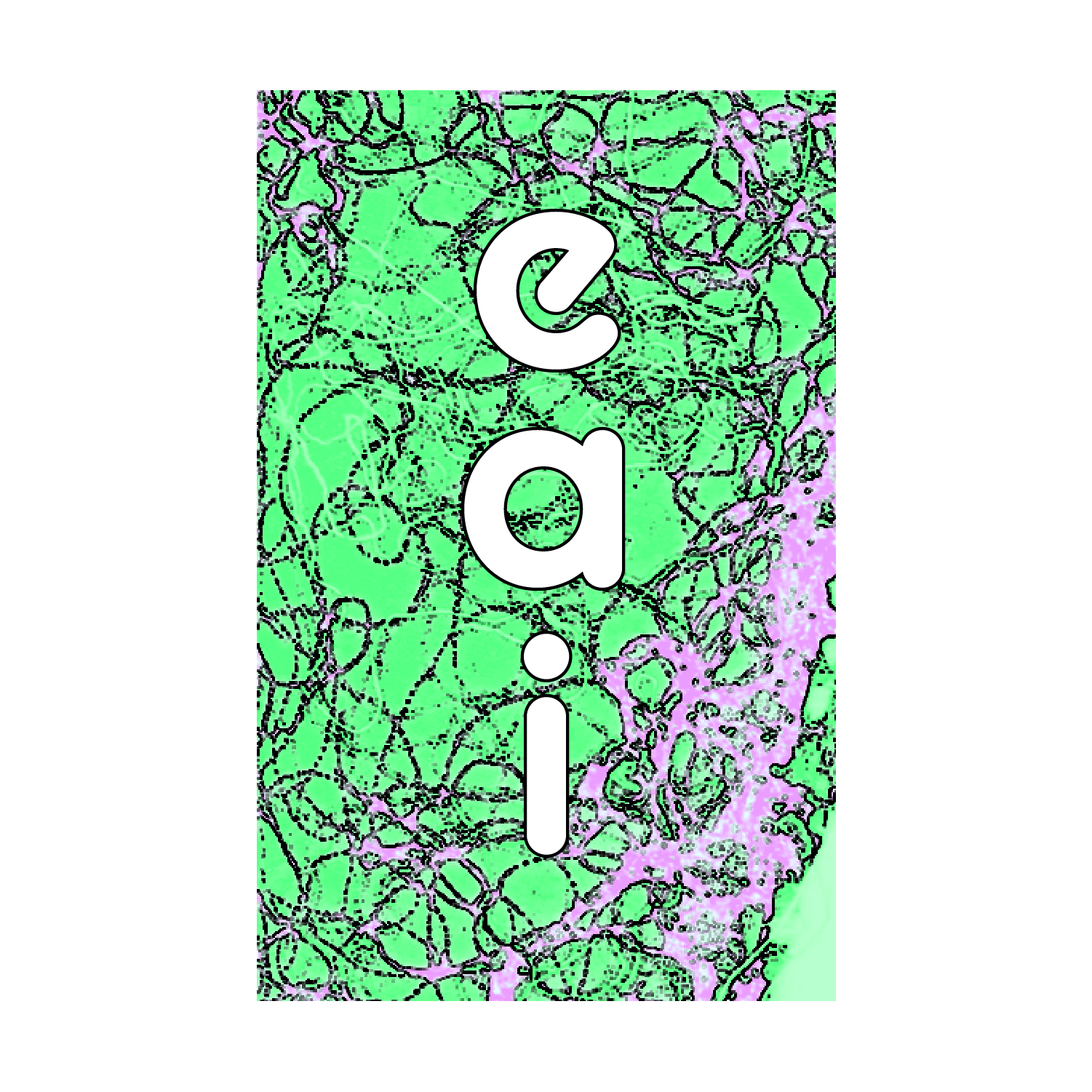 EAI logos 22-06.png