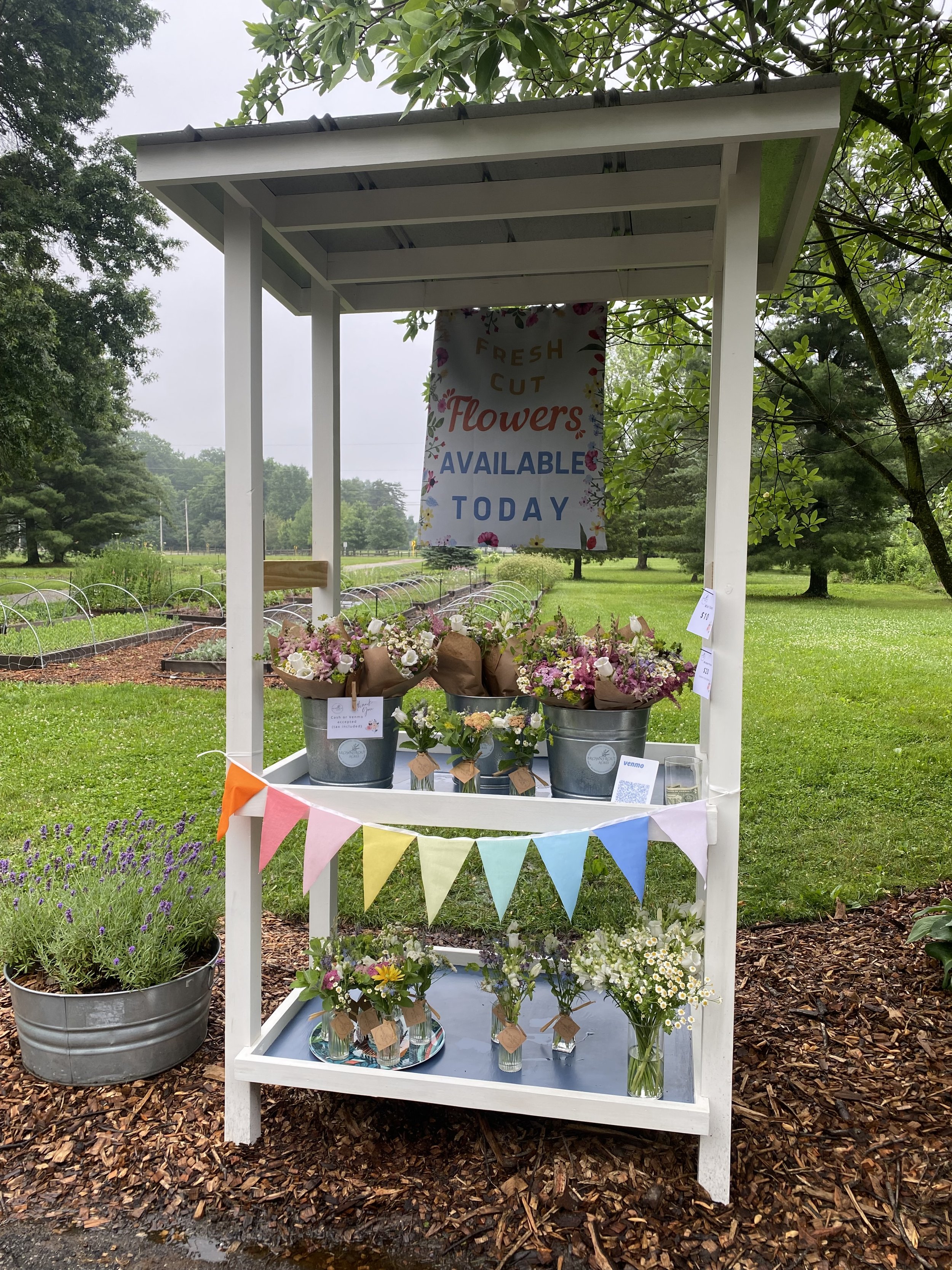 Flower Stand Open