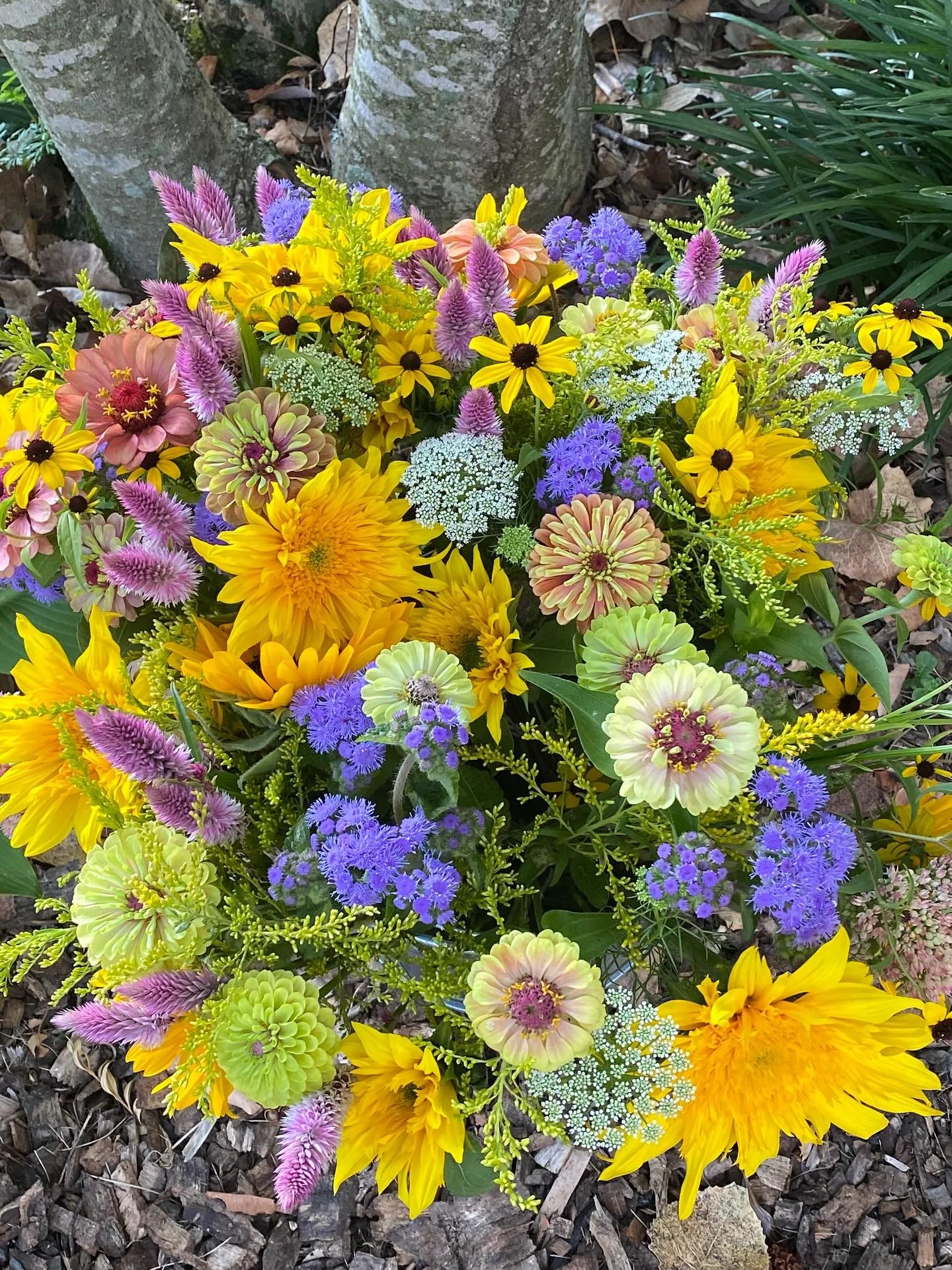 Focusing on the light in a time of great darkness.