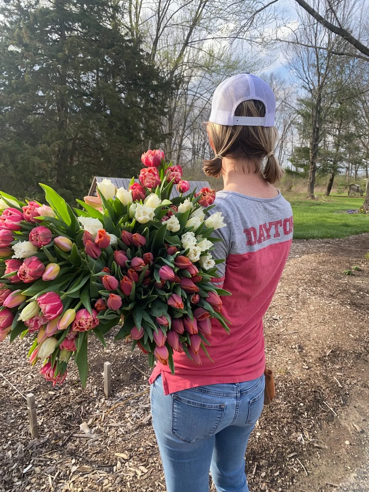 It&rsquo;s tulip-mania over here 💗