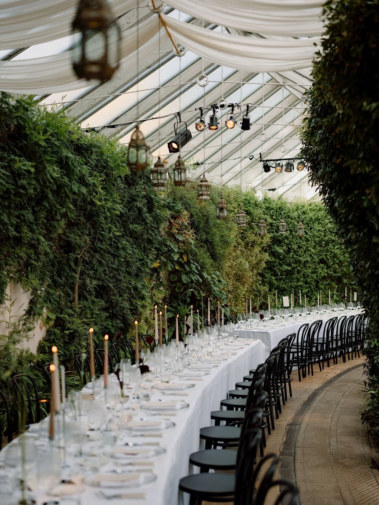 A verdant setting for M&amp;R 🌿