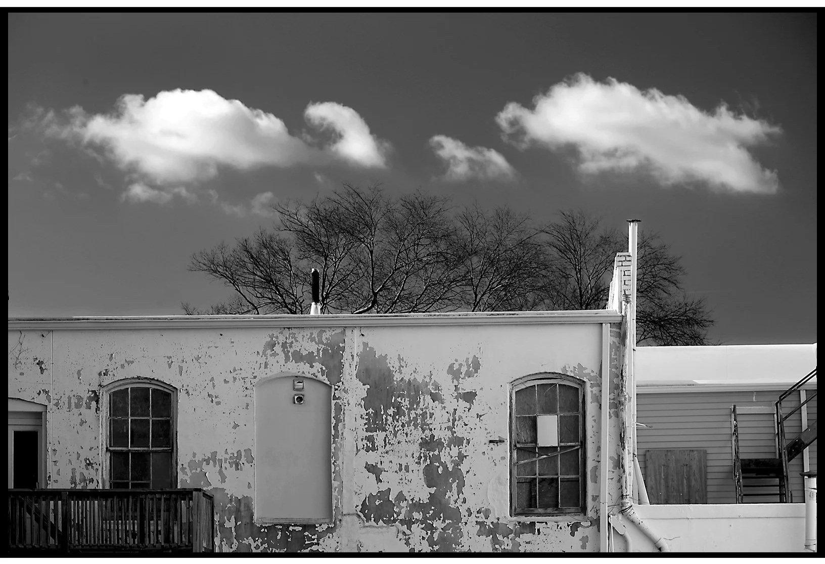 Clouds Trees & Buildings Winter 2025