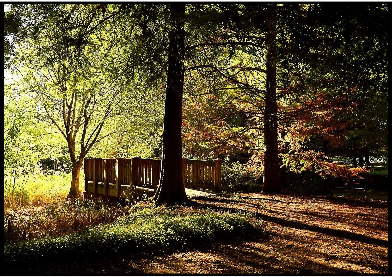 Hopeland Gardens Fall 2025 