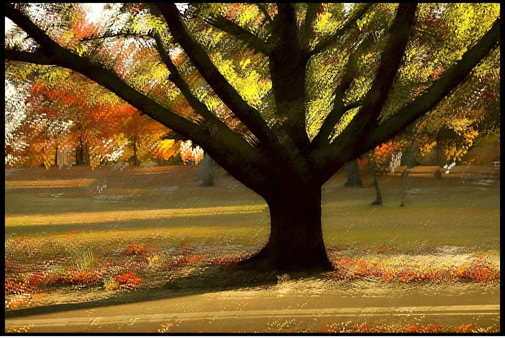 Virginia Acres Fall 2025