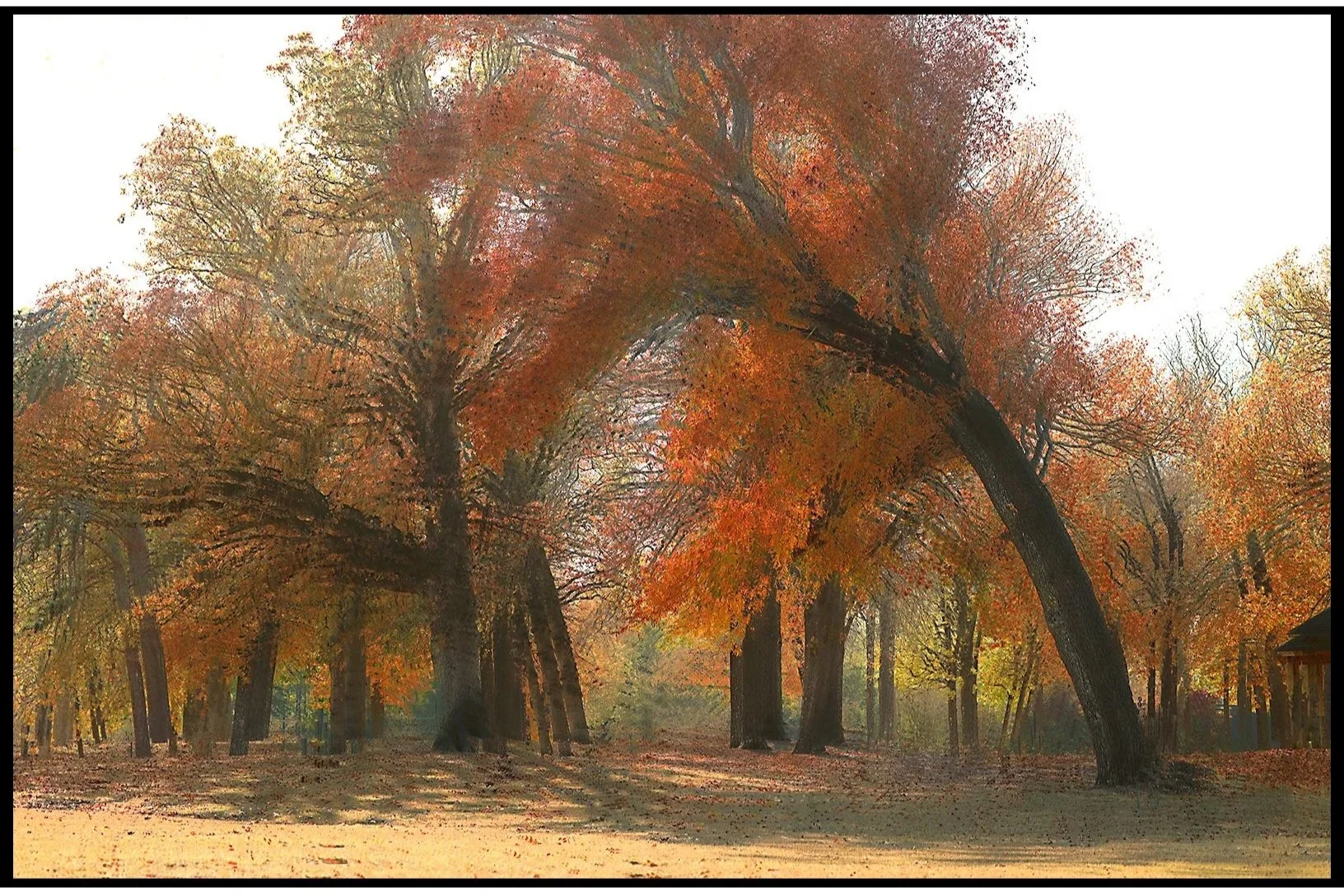 Virginia Acres Fall 2025