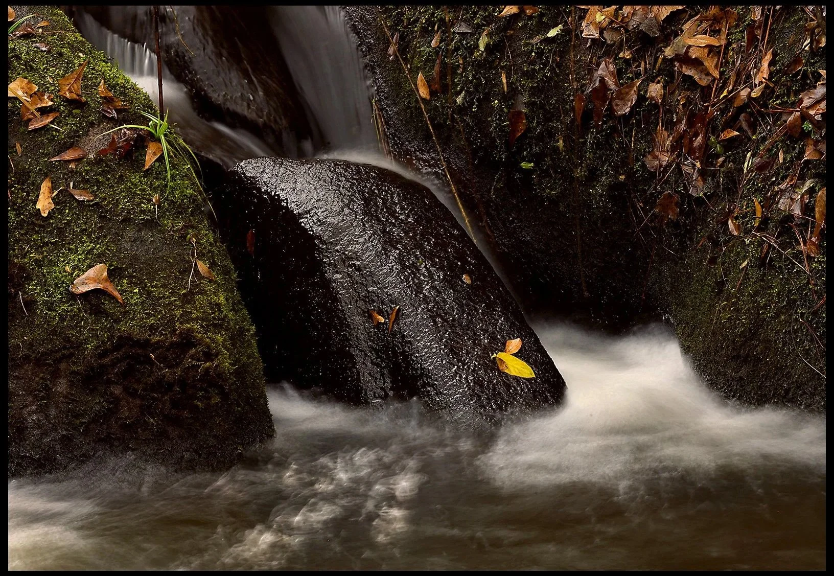 Horse Creek in Fall Fall 2025