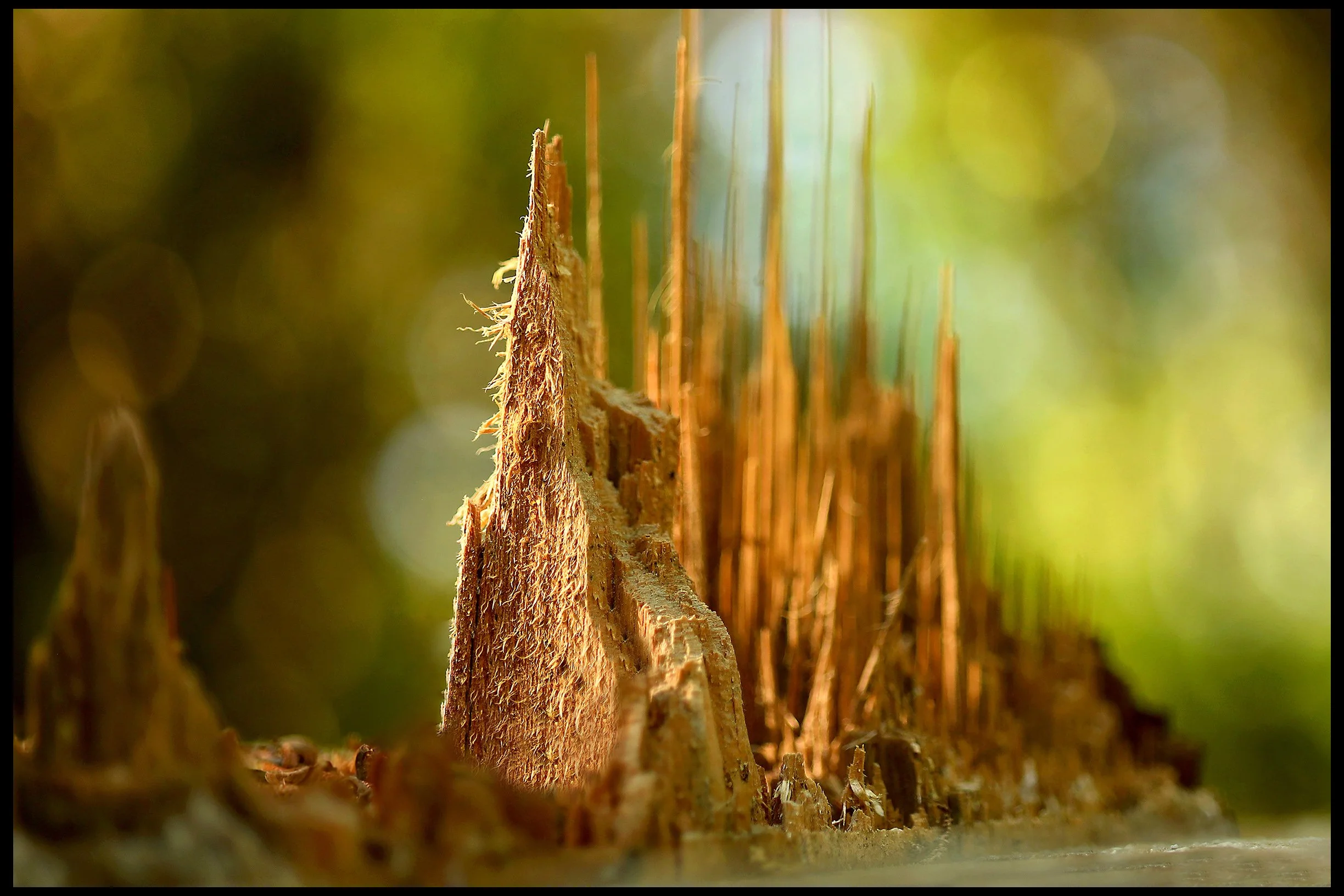 The City on the Hill