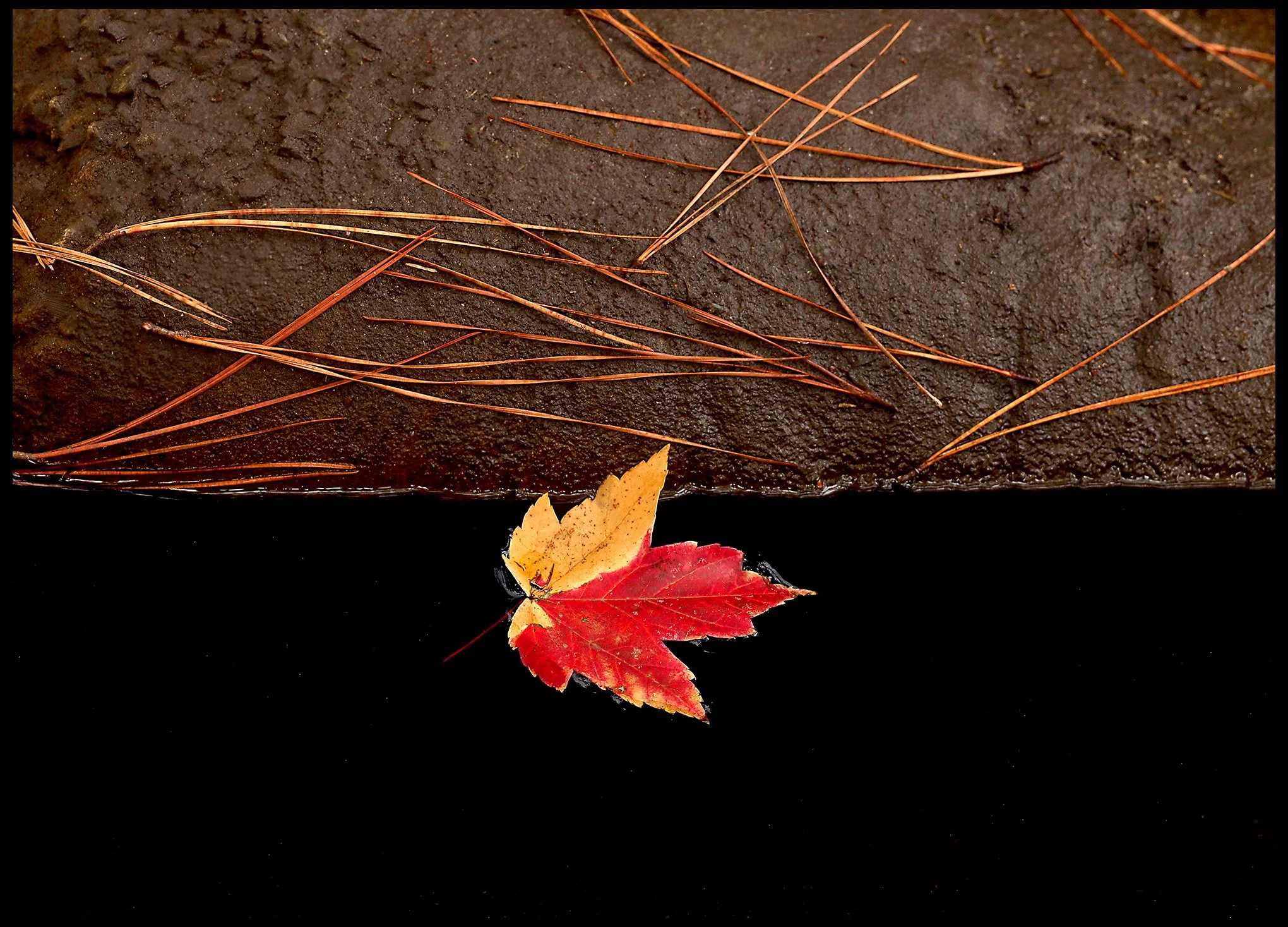 Why you need an Engineer when Building your Castles in the Sky