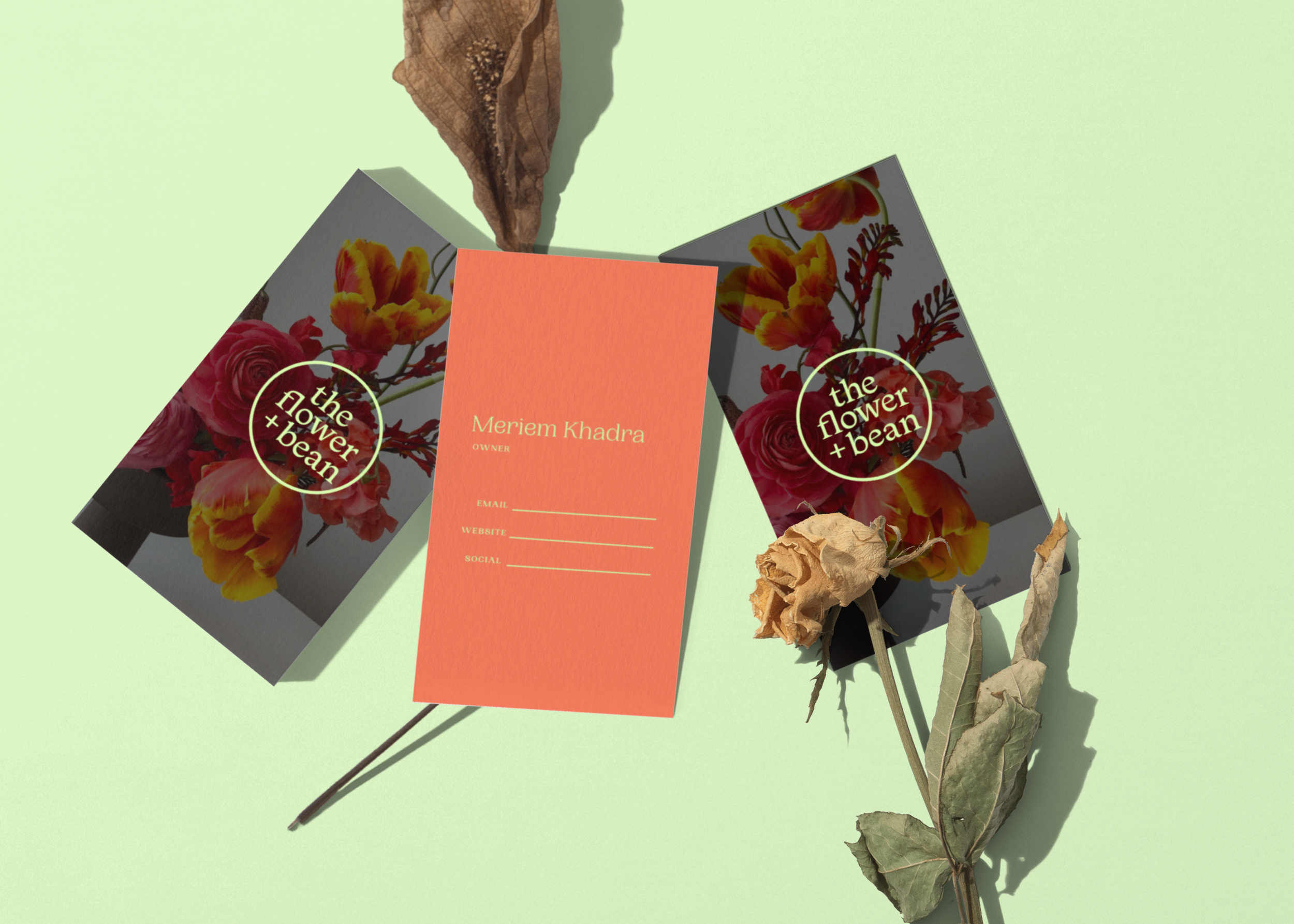 meriem fb top-view-three-business-cards-with-dried-flower-mockup-template-647d1d495e679c3db9693a60@2x.png