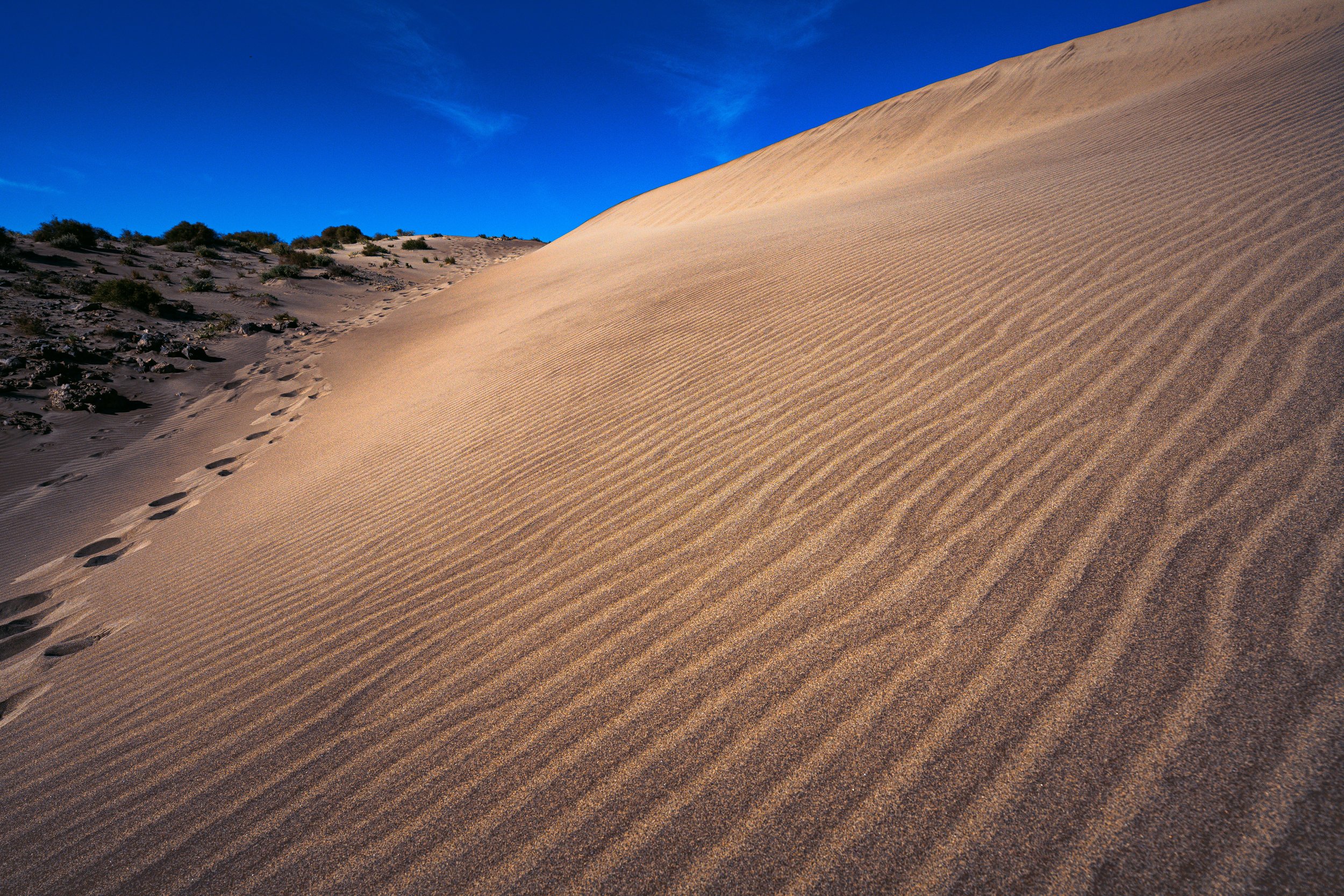 DSC09096 copia 2.jpg