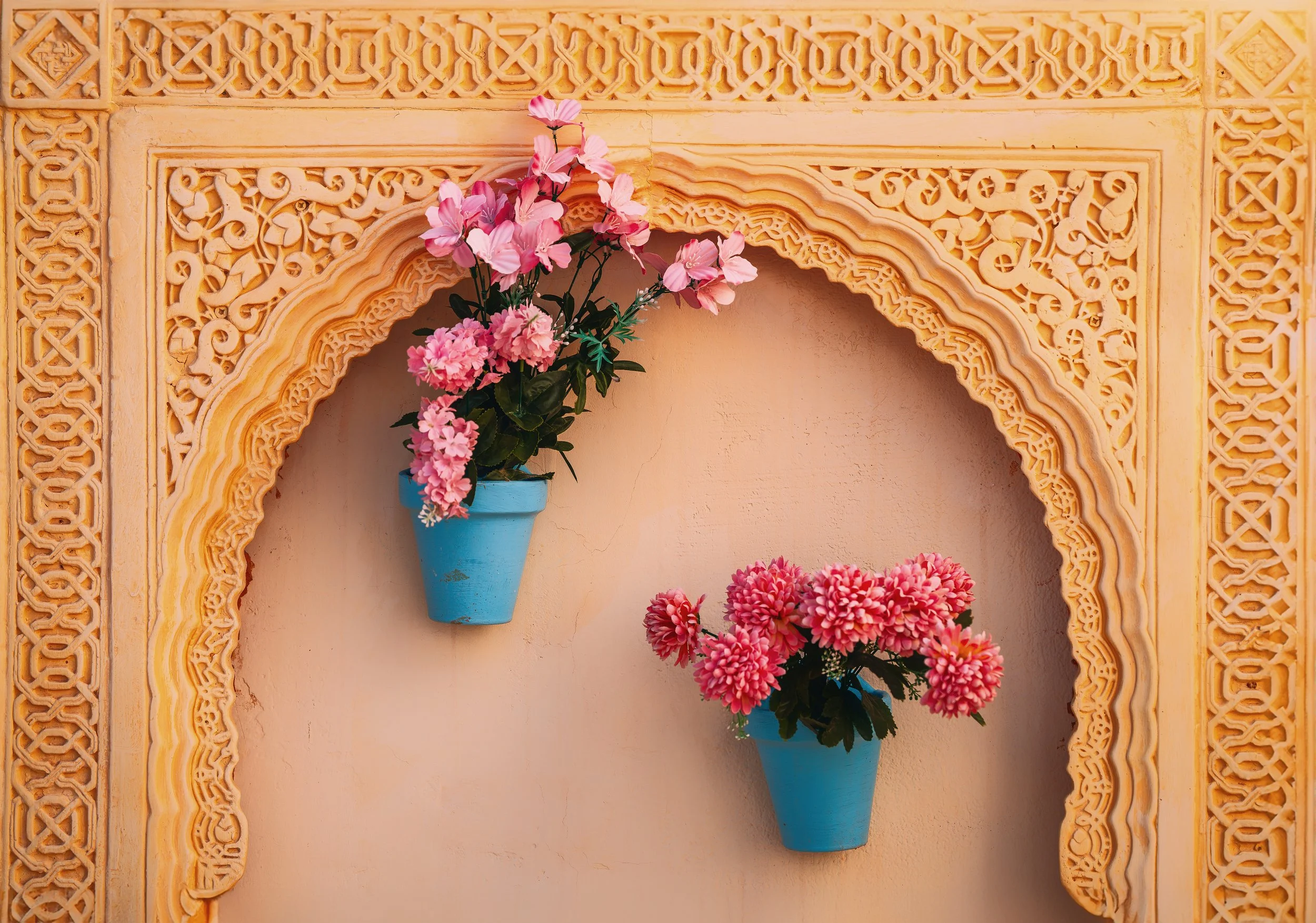 DSC02229 copia peke.jpg