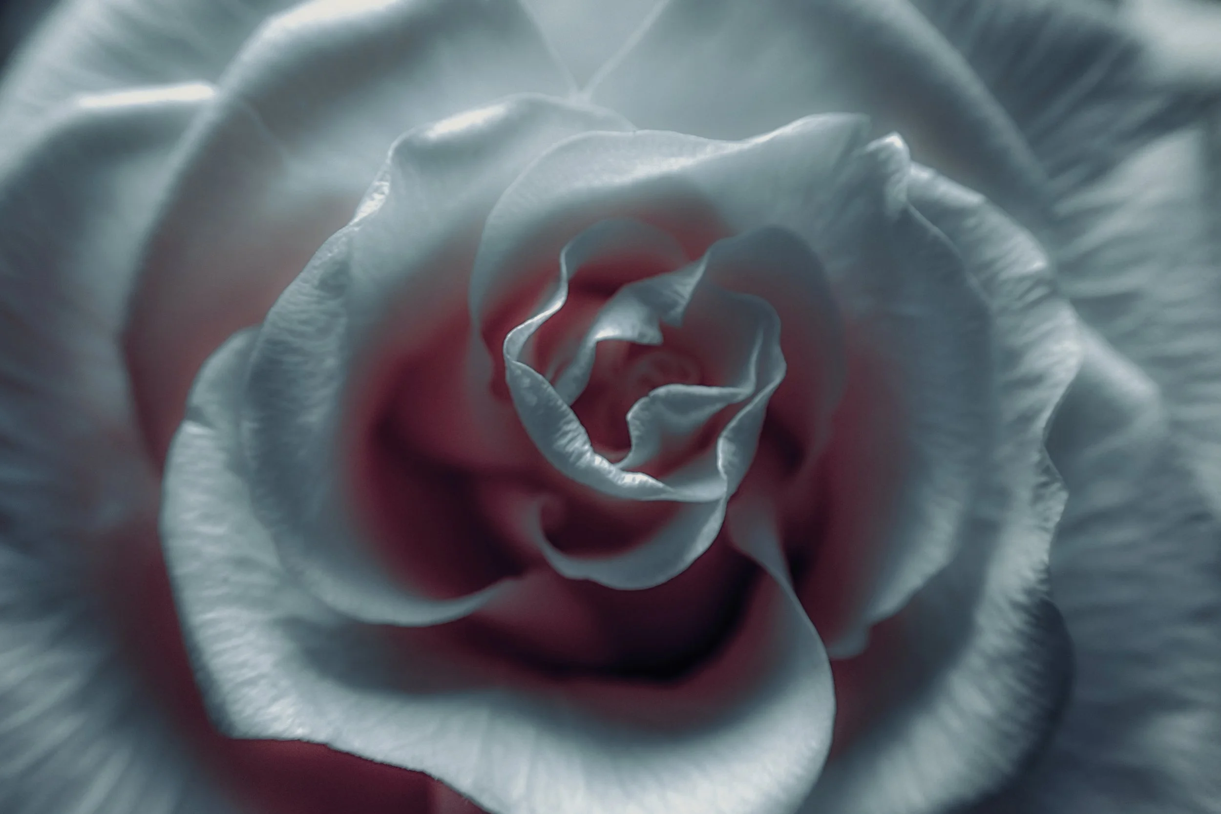 P6080439 copia 2.jpg