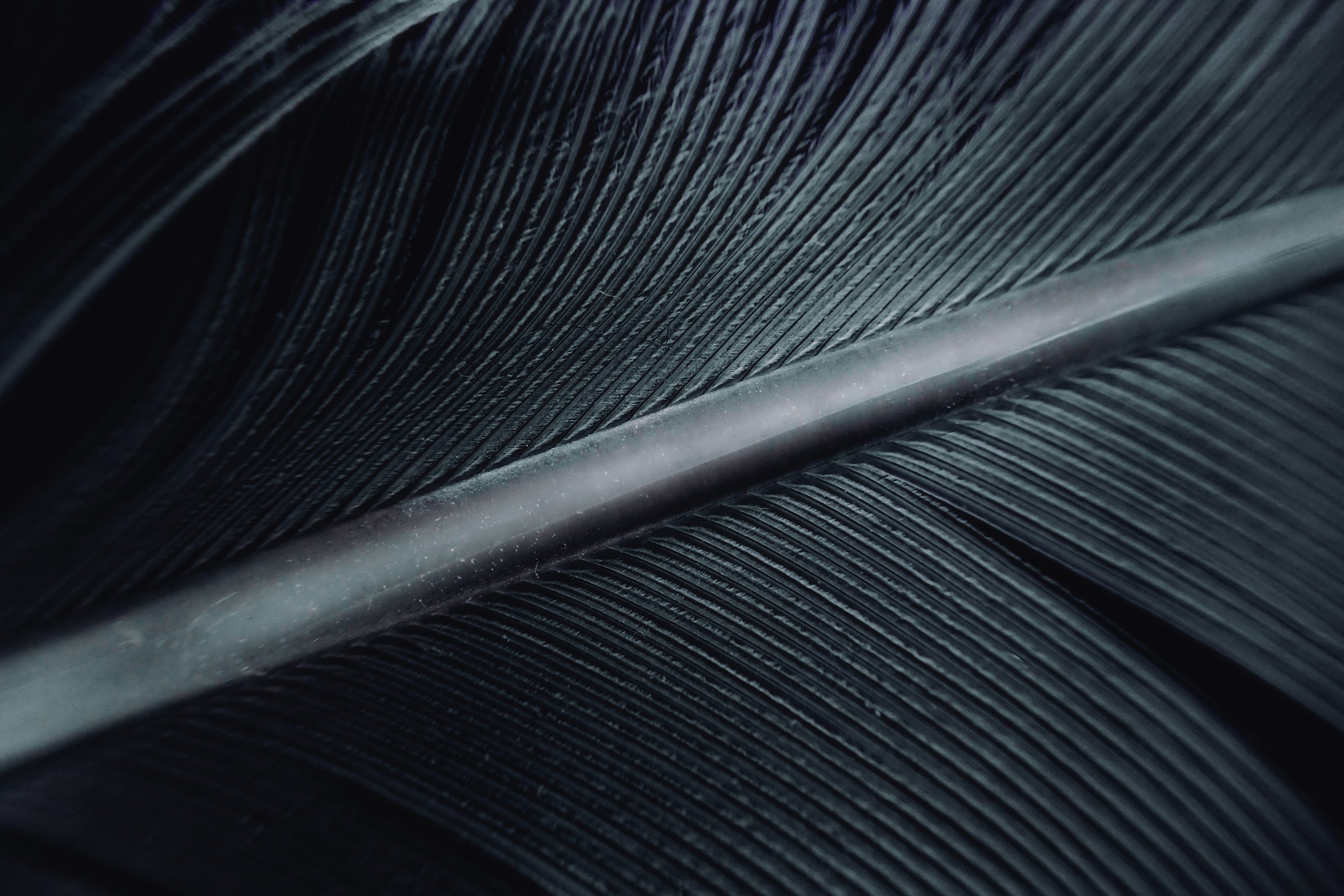 P1010368 copia 2.jpg