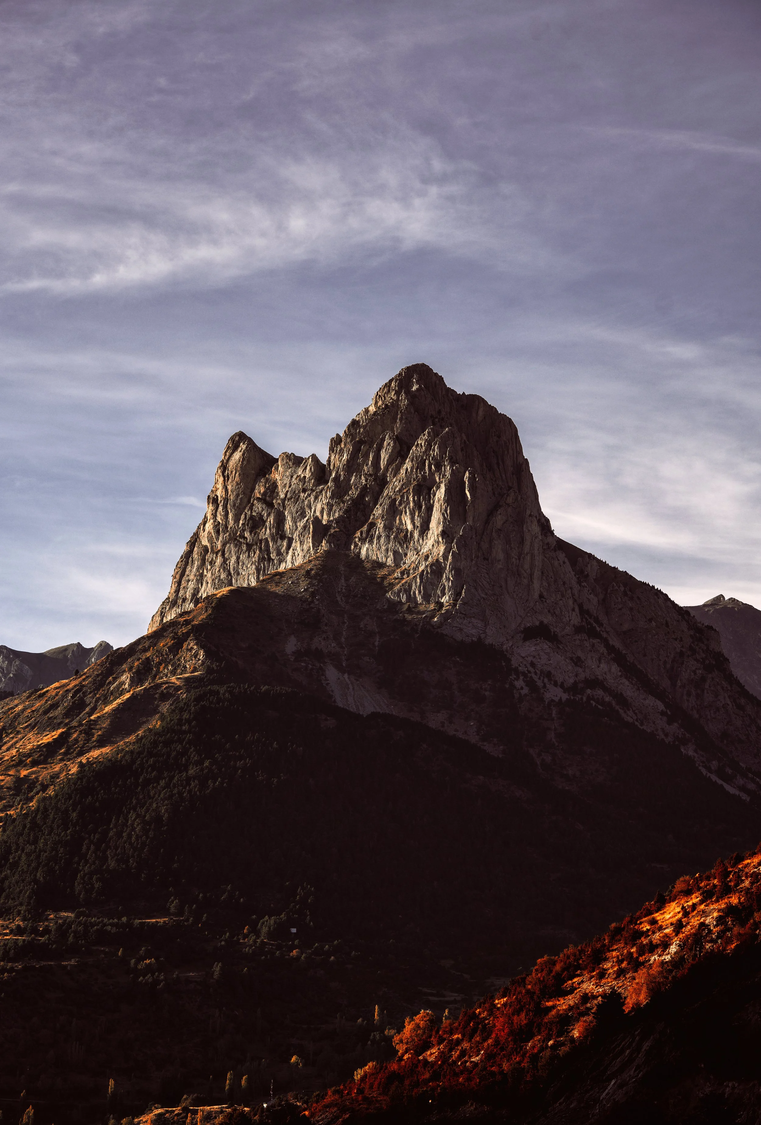 DSC07085 copia 2.jpg