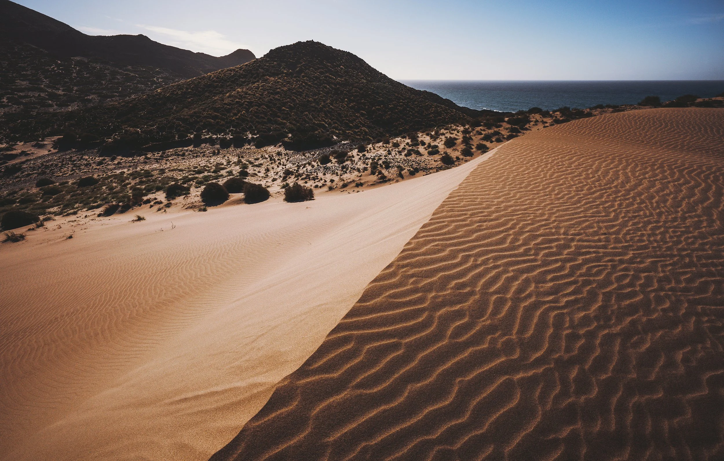 DSC09080 copia peke.jpg