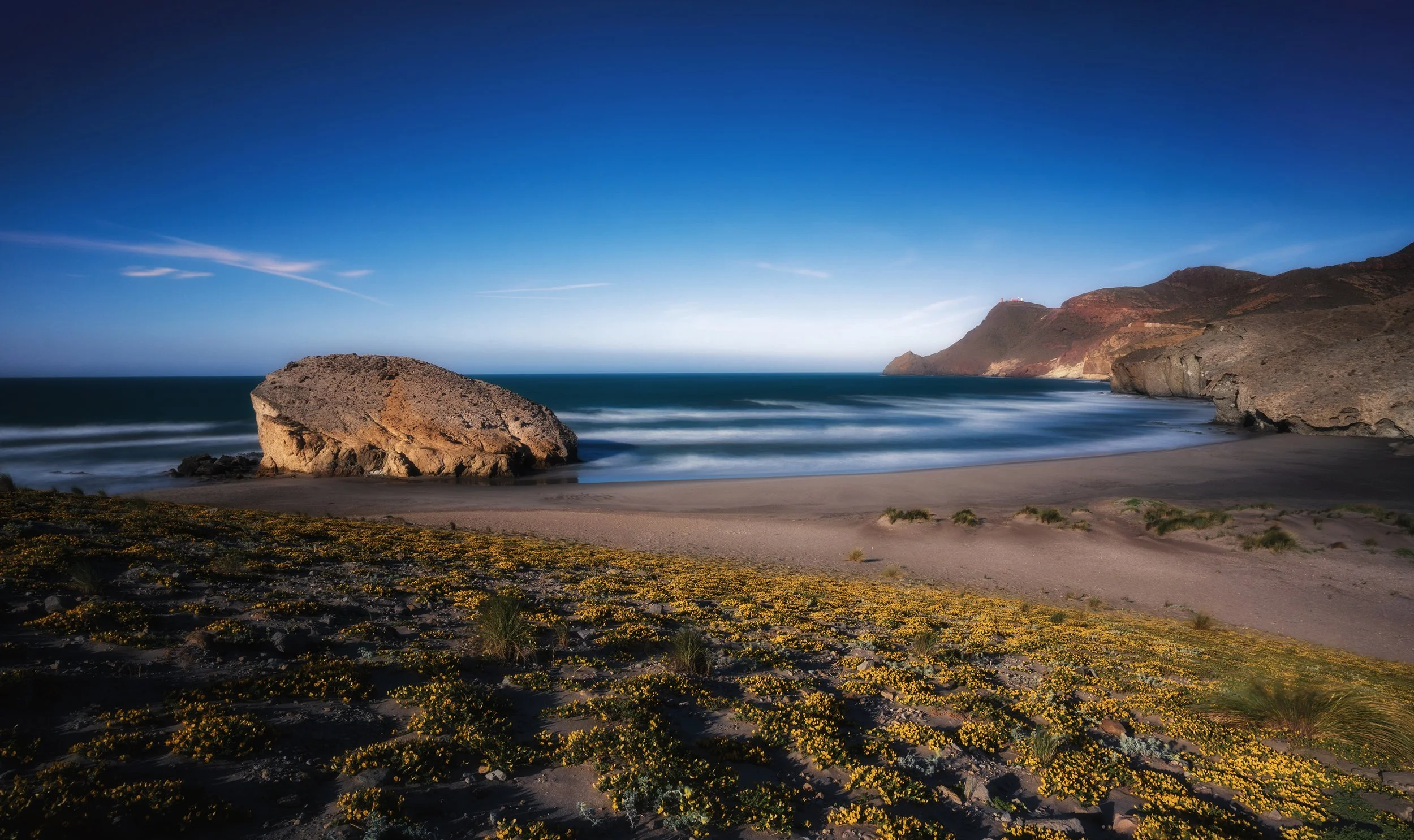 DSC09002 copia peke.jpg