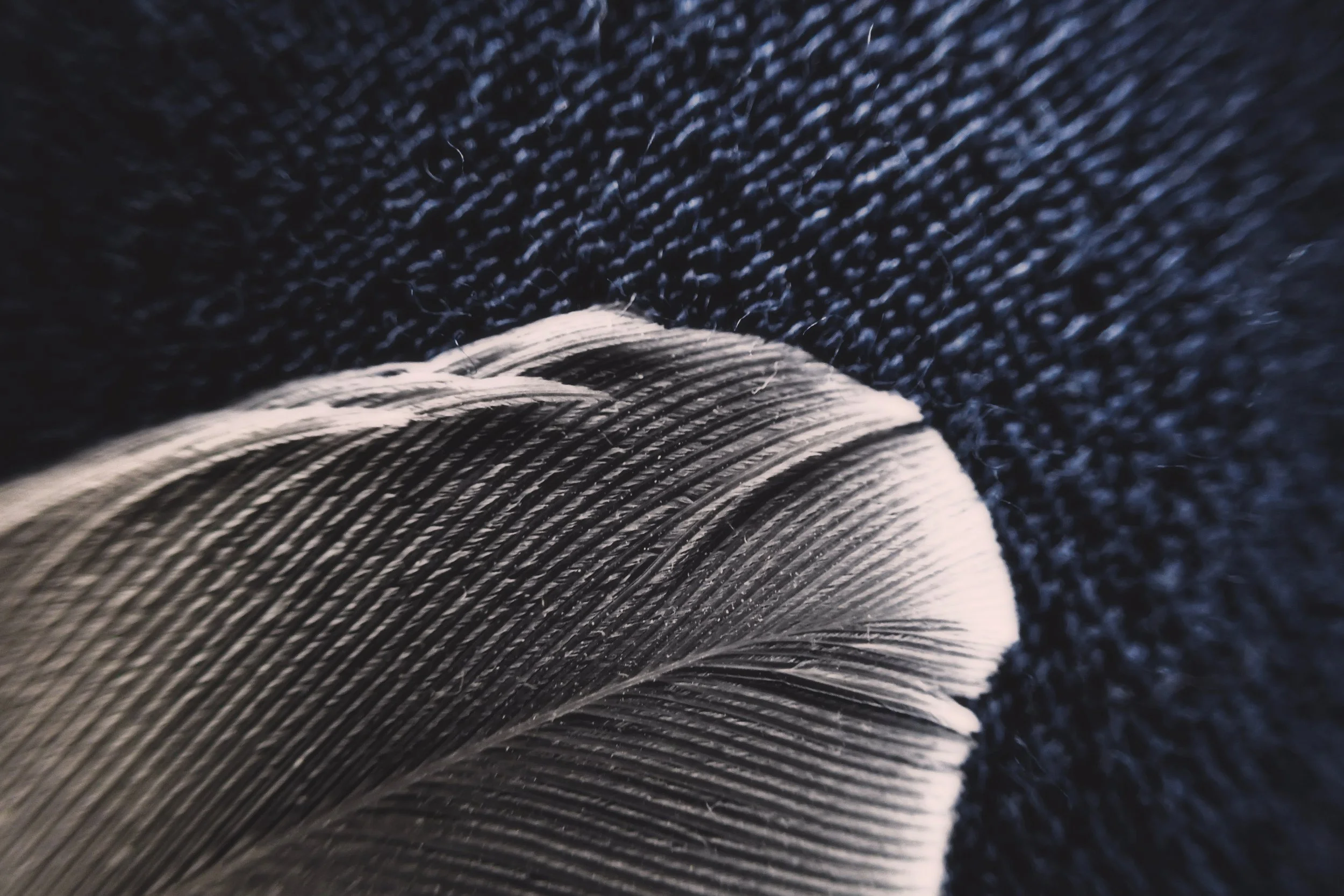 P1010369 copia 2.jpg