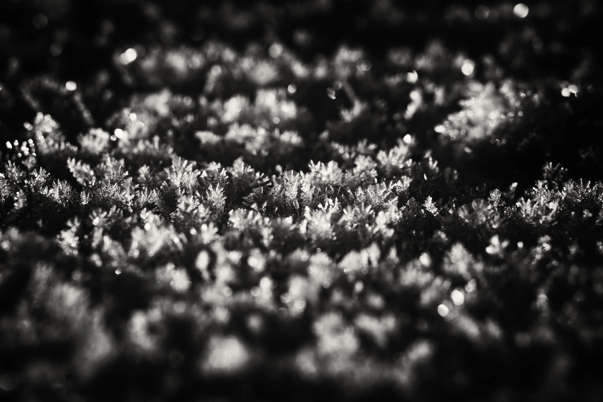 DSC07545 copia 2.jpg