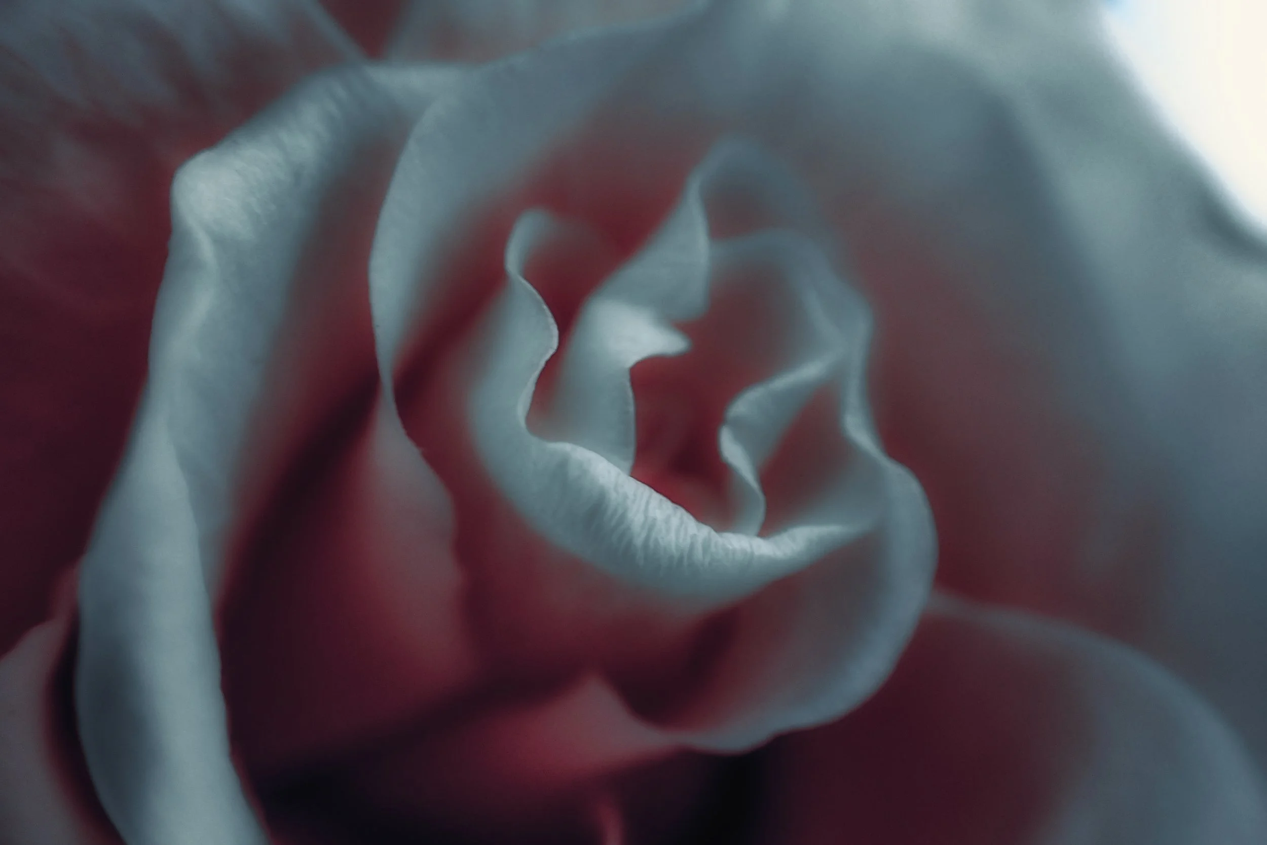 P6080434 copia 2.jpg