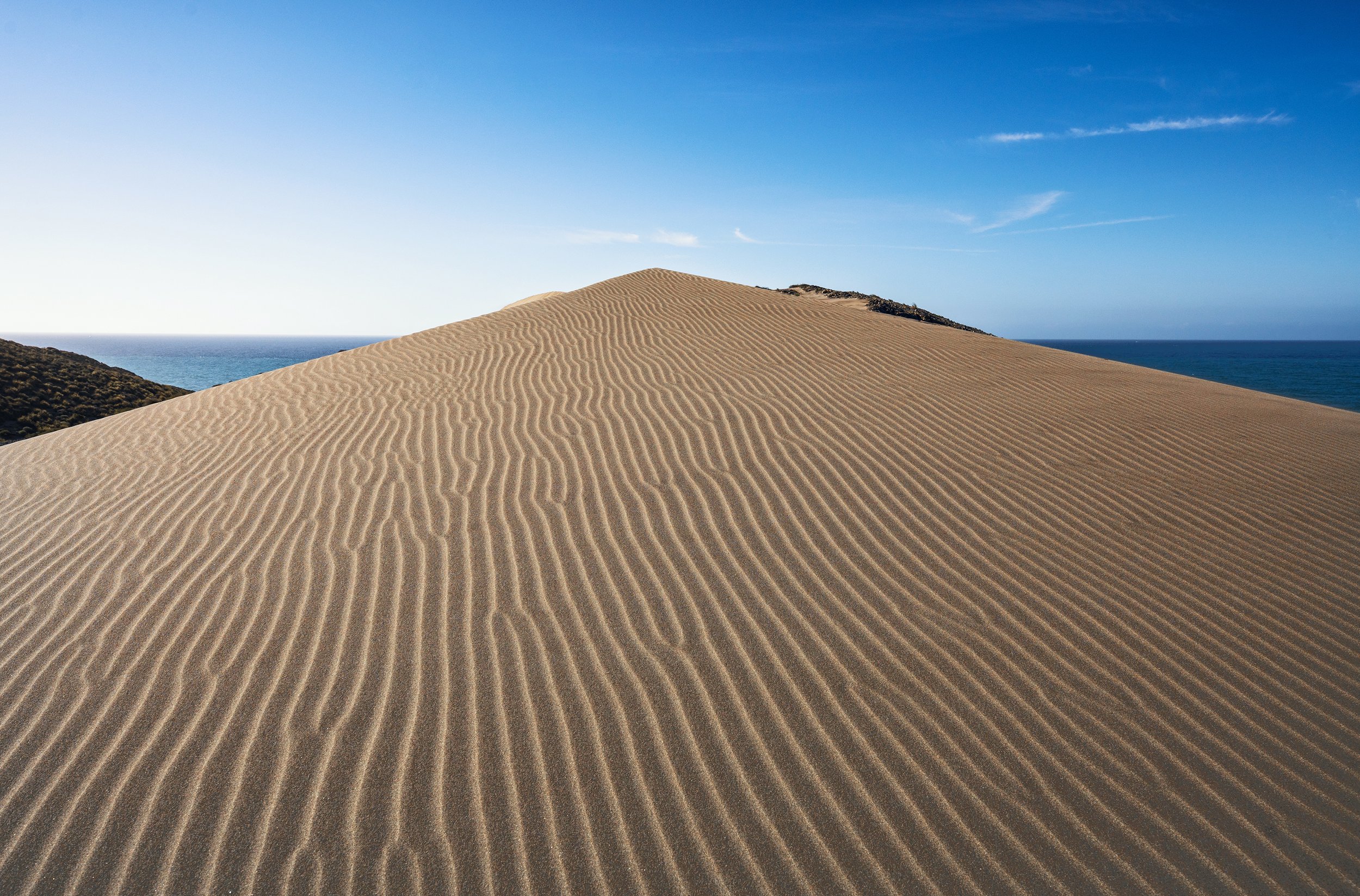 DSC09066 copia peke.jpg