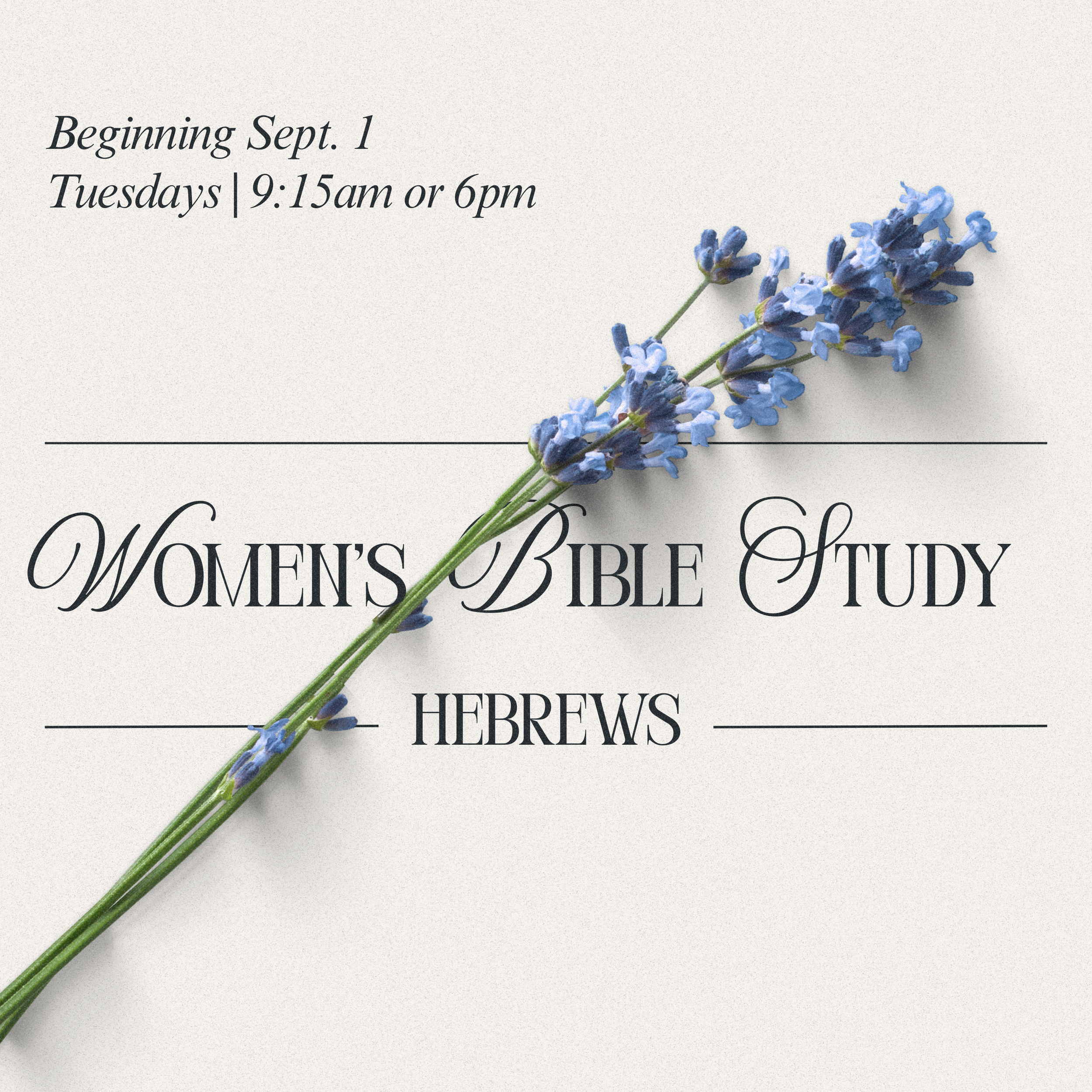 Women’s Bible Study