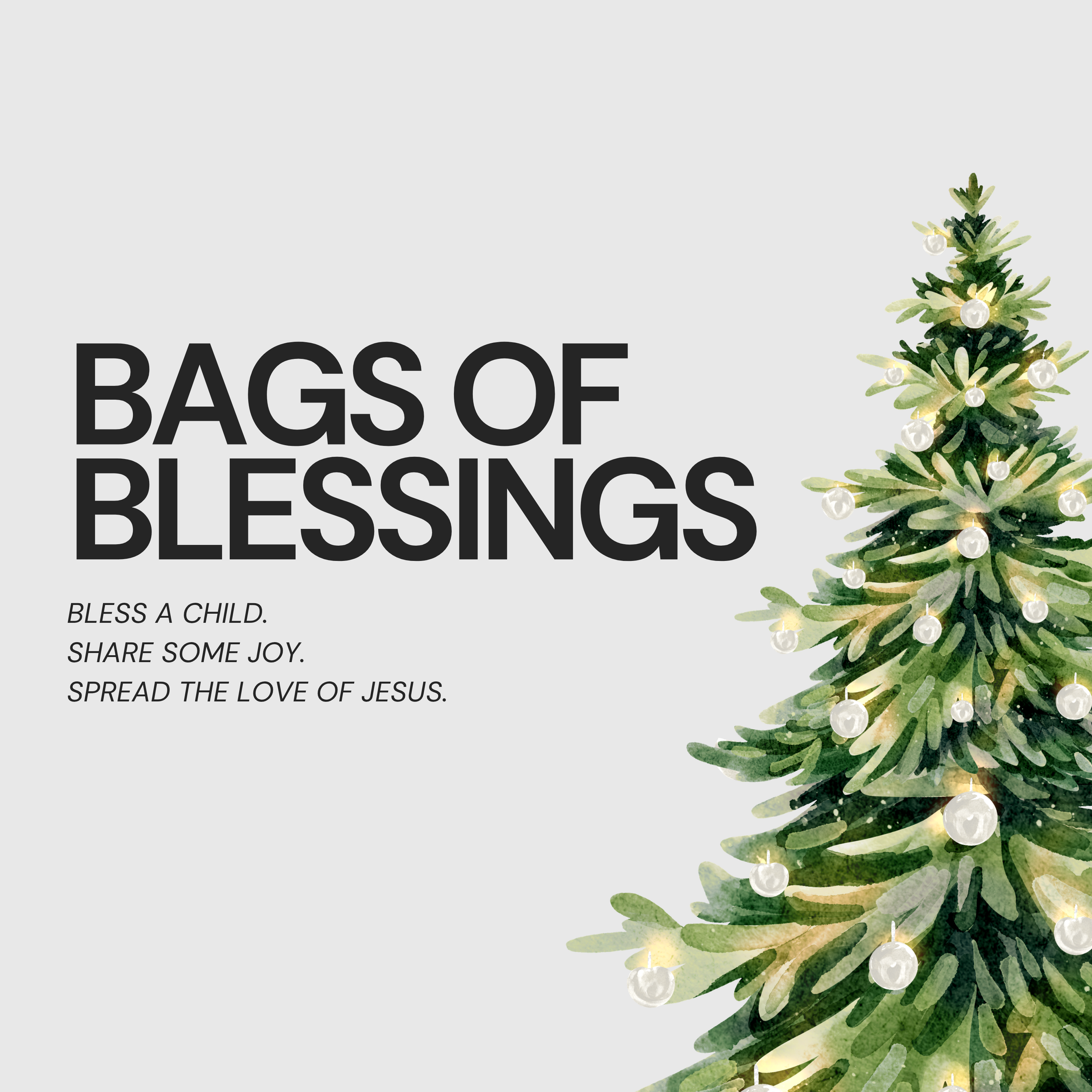 Bags of Blessings