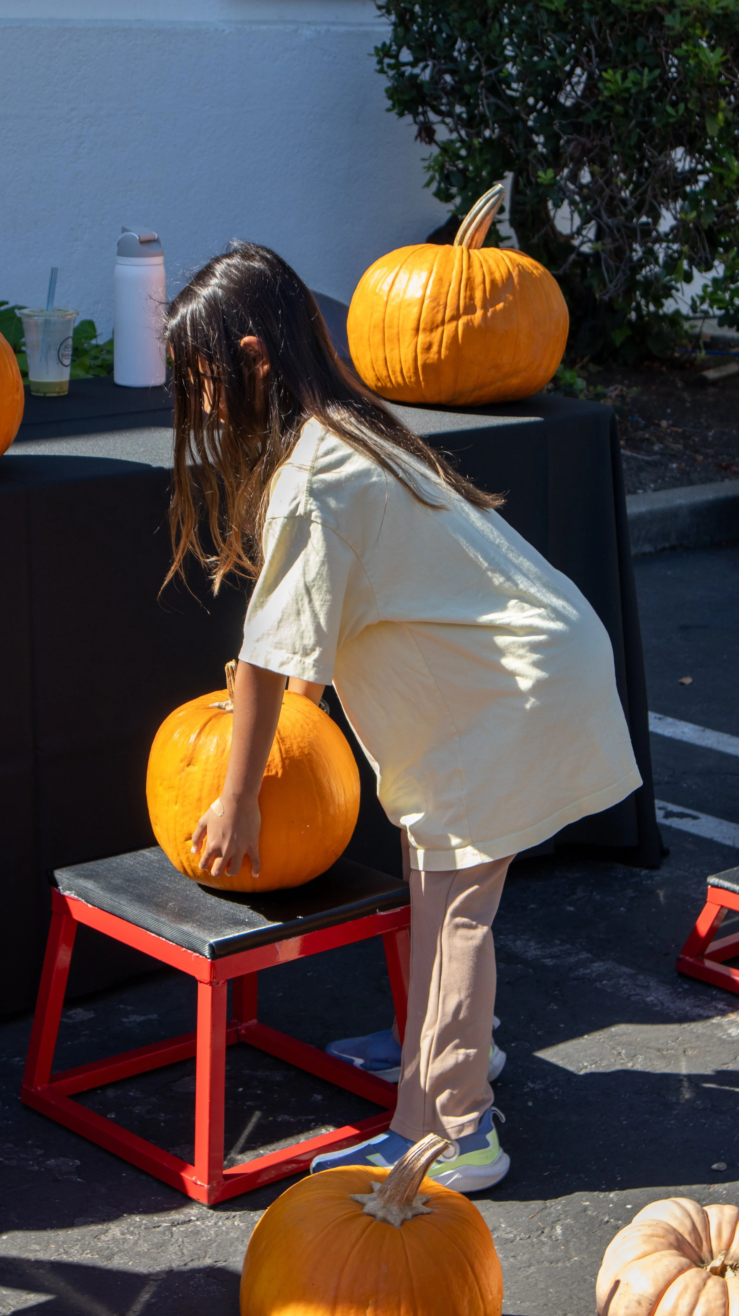 IMG_7641.jpg