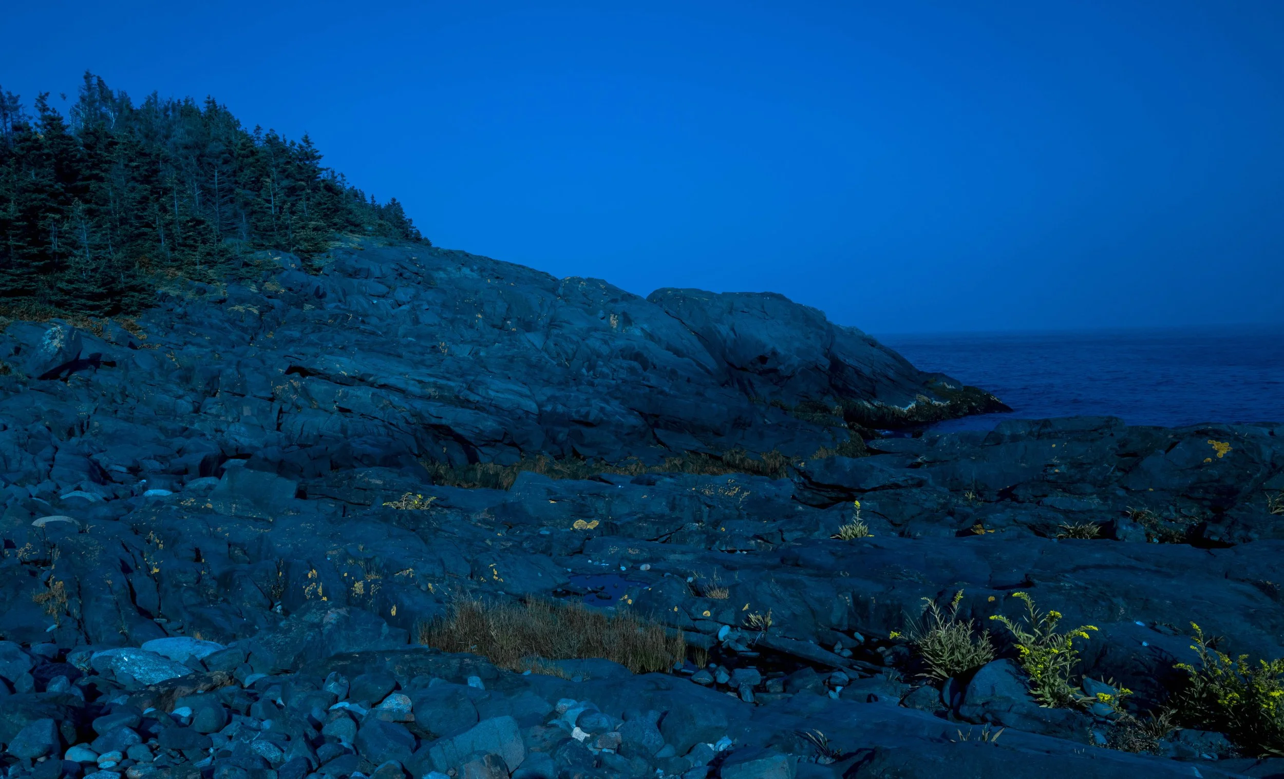 Archival pigment print