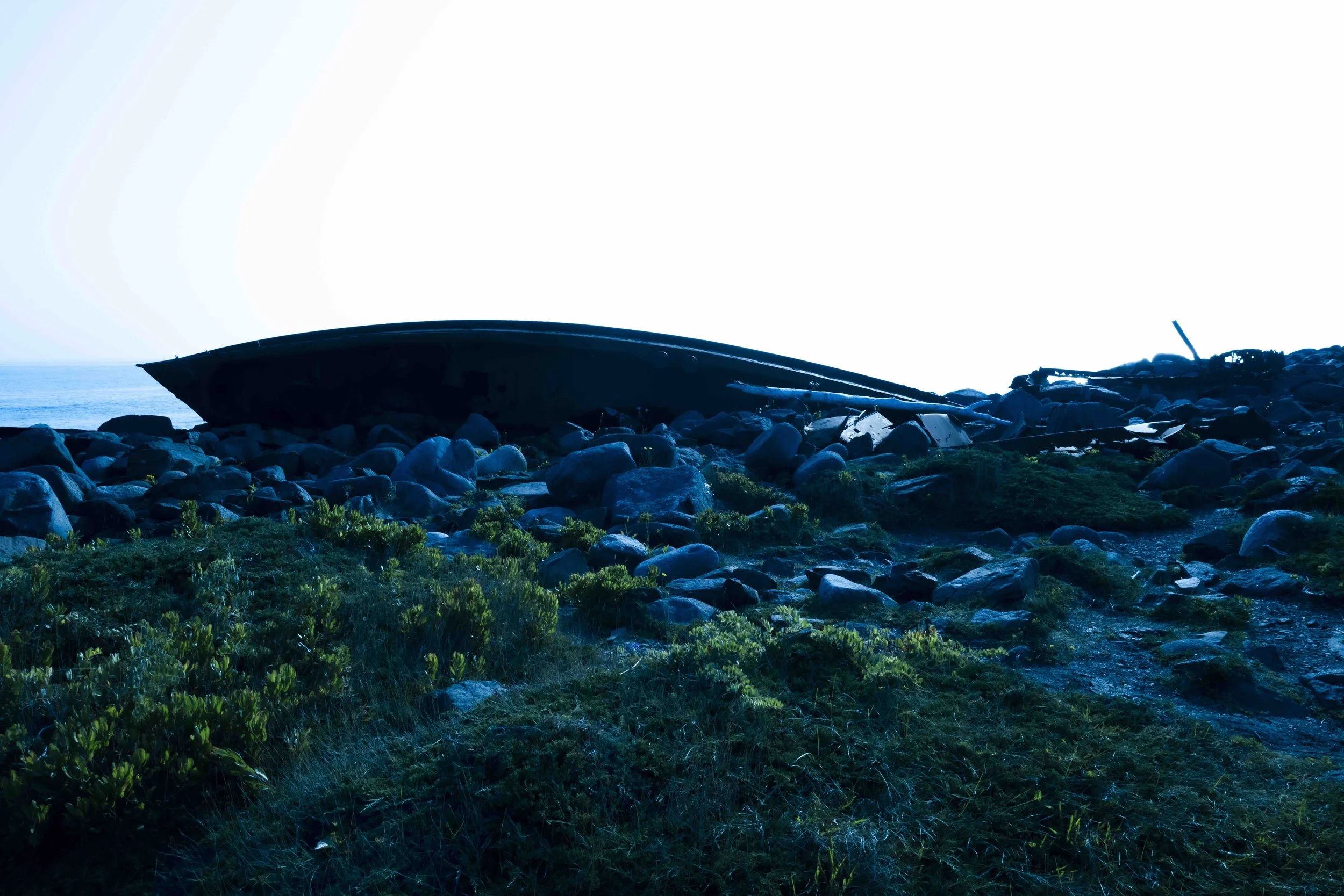 Archival pigment print