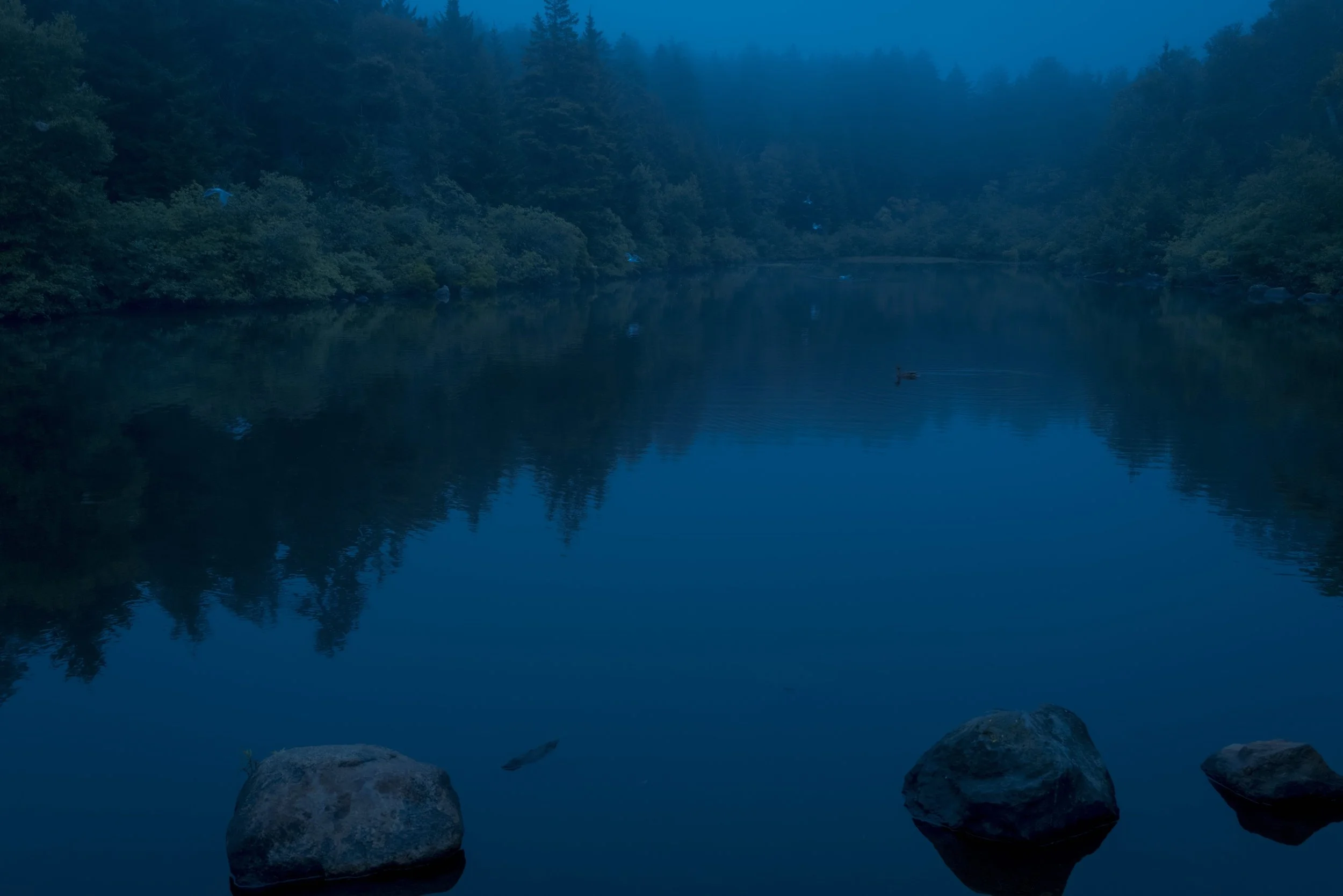 Archival pigment print