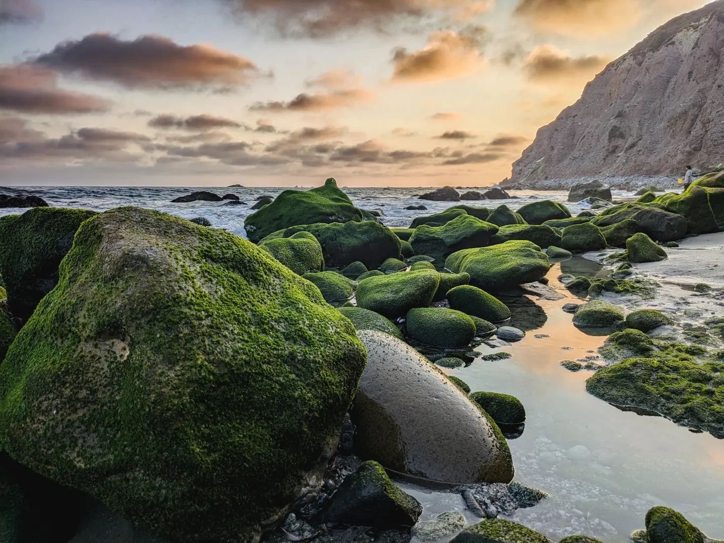 Dana Point + low tide + sunset = 💯 

#oc  #danapoint  #familynight #beach #oc #socal #sunset #wanderlust #artist #architect #photographer #landscapephotography #withinthemoment