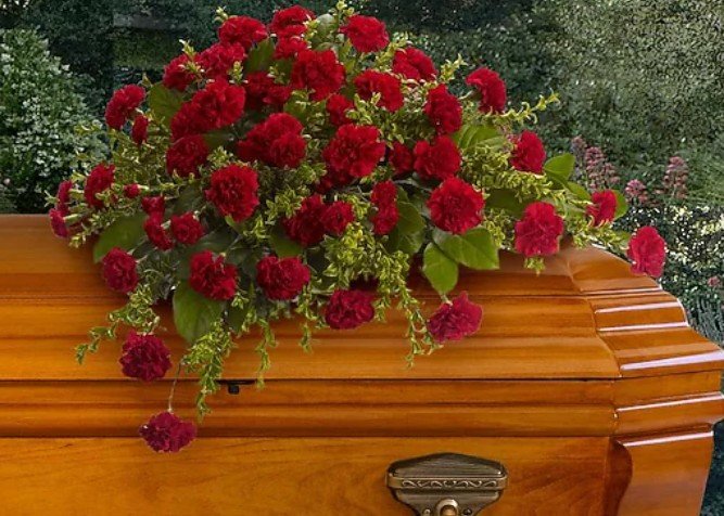 CARNATIONS CASKET.jpg
