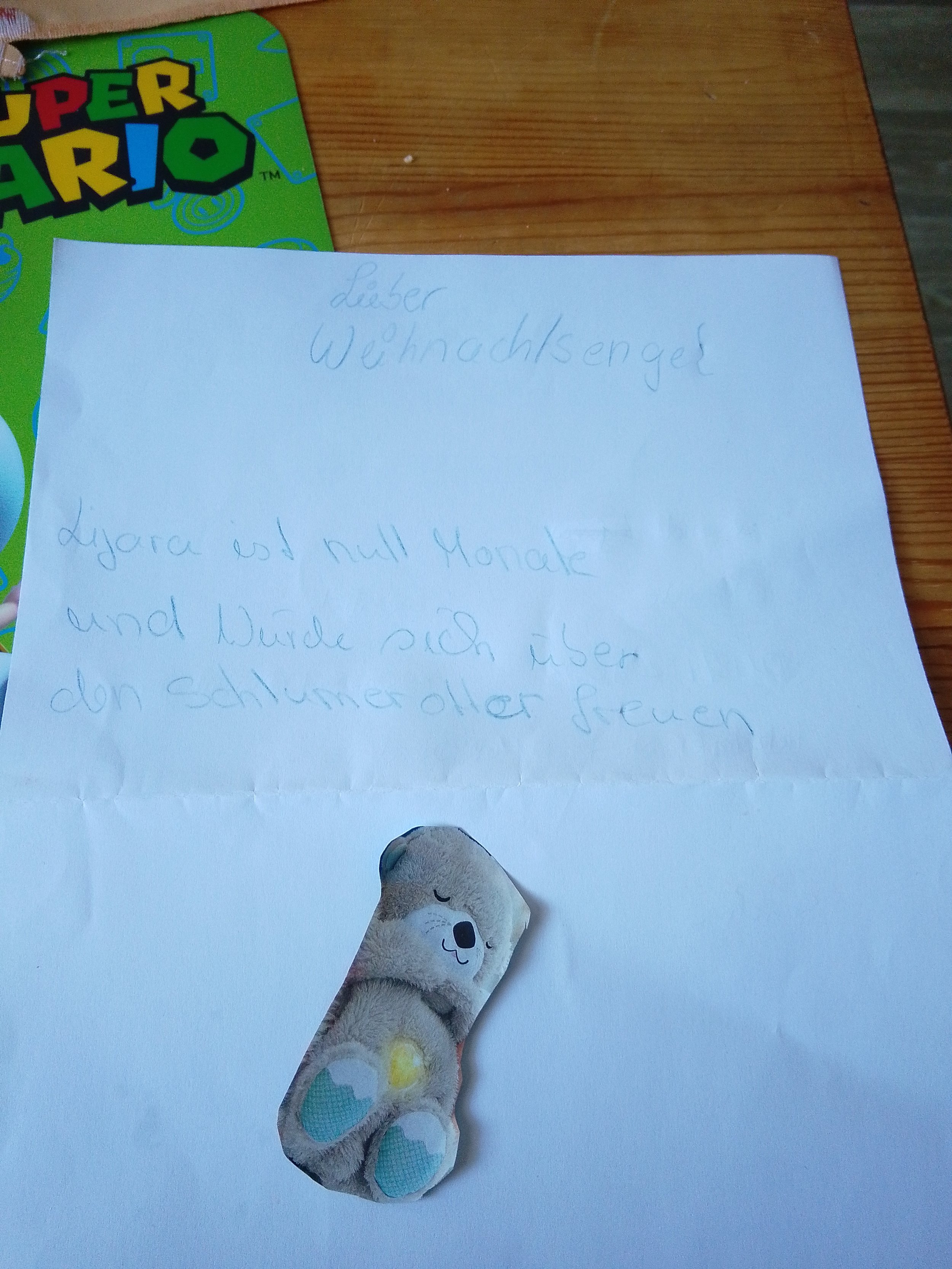 Lijara Wunschzettel.jpg