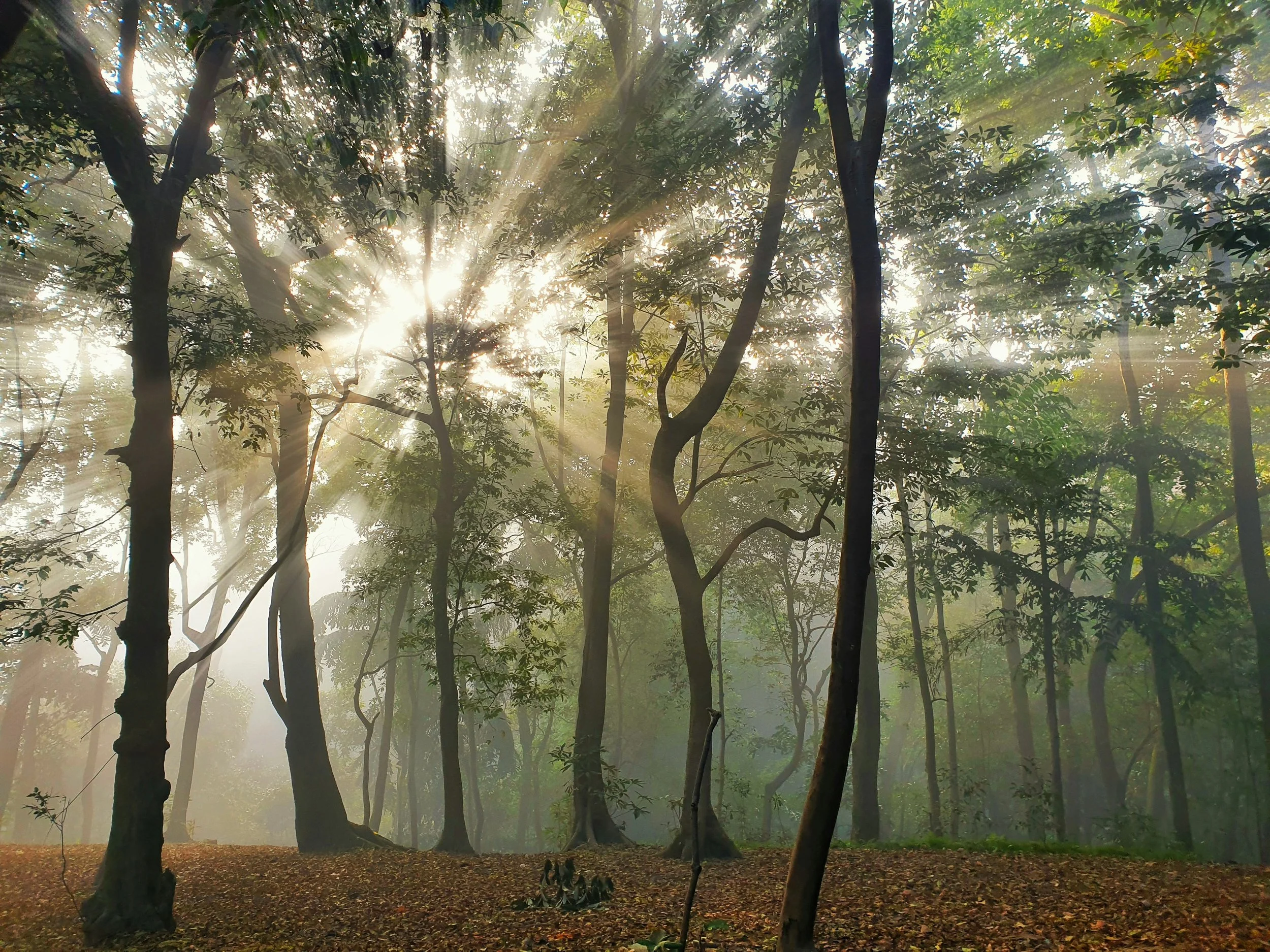 How to Define Lifecycle Stages So Sales and Marketing Stop Fighting