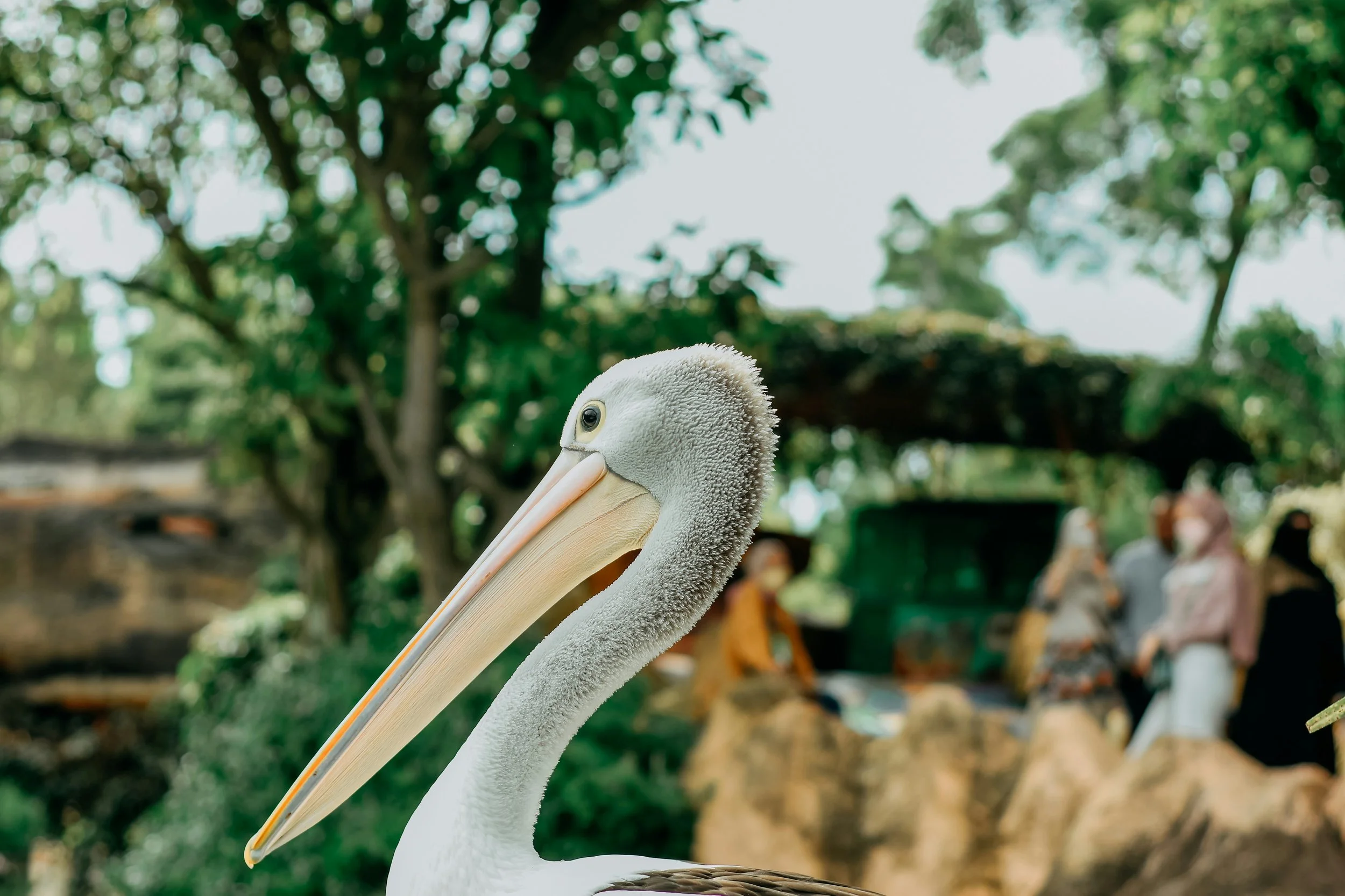 How to Choose a CRM Based on Your GTM Strategy, Not Just Budget