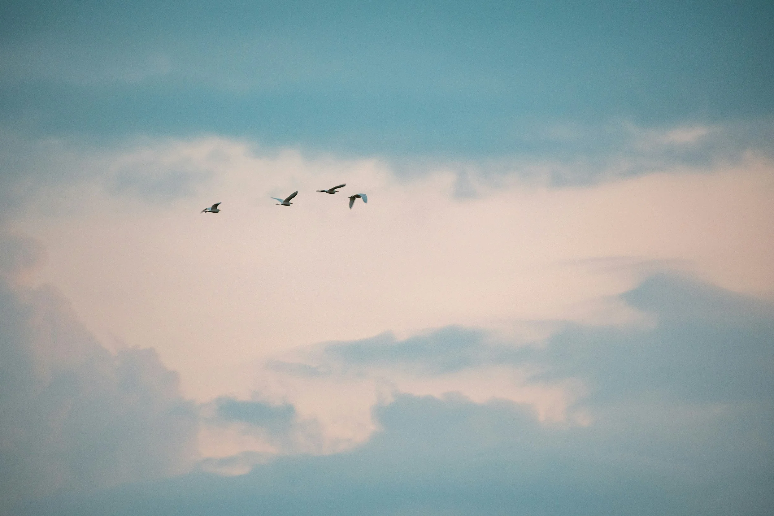 HubSpot Optimization: A Practical Playbook