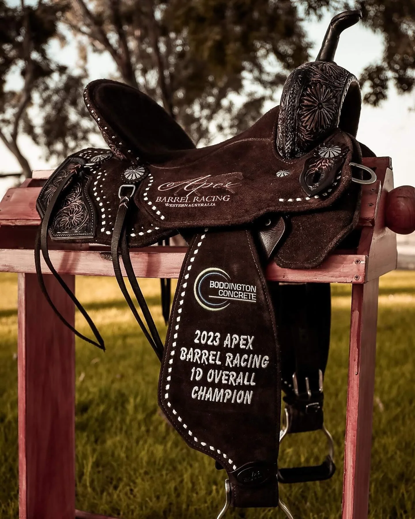 Throw back to our very first @sevensaddle trophy saddle. 🥹

This year we have THREE to give away!!!! 😱

We cannot wait to show you. 🙊

A very big thanks to 👇🏾

@dustybootsimages 
@lushdesignjewellery 
@fosters_western_threads