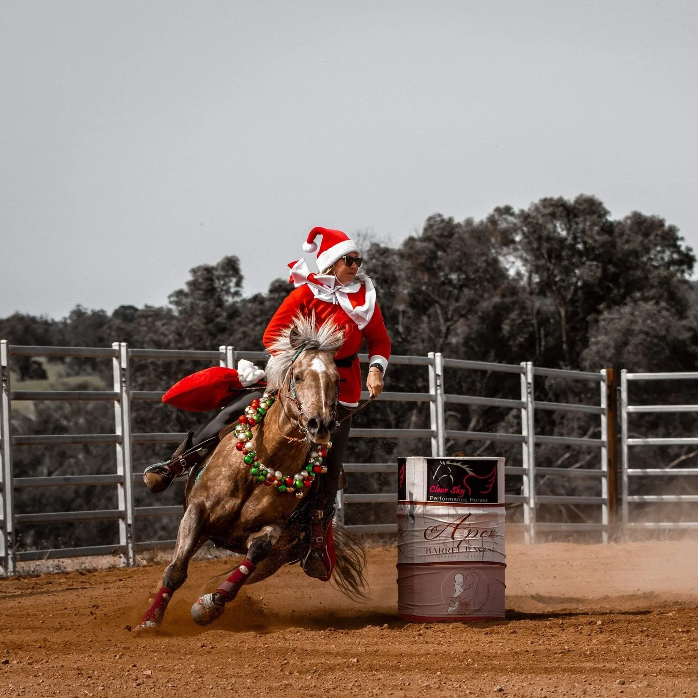 Just one week until our last jackpot of the year! 🎄

Get your entries in before it&rsquo;s too late! 😱👇🏾

www.apexbarrelracing.com