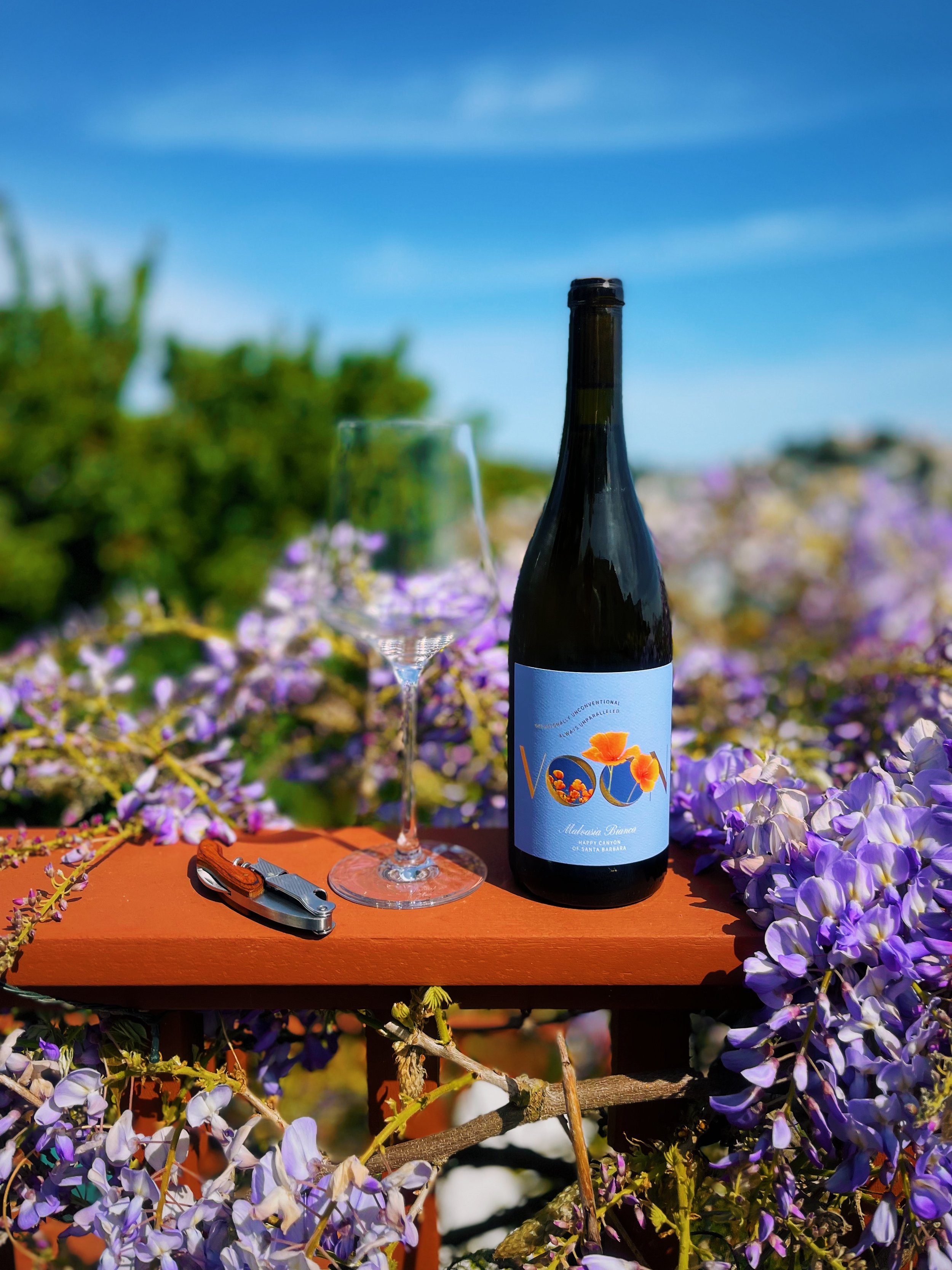 2024 Happy Canyon AVA Malvasia Bianca