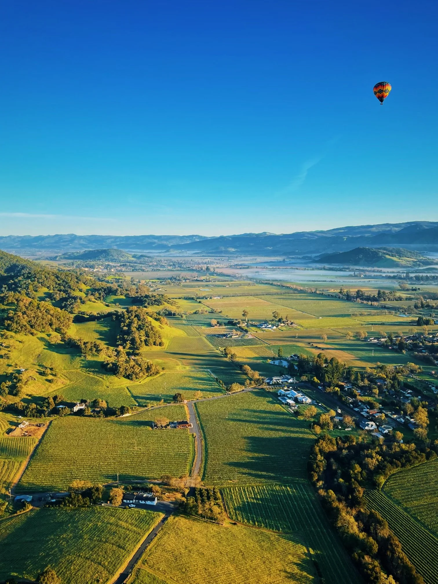 Aerial view of green fields, trees, and small buildings in a valley with mountains in the background, and a hot air balloon floating in a clear blue sky.