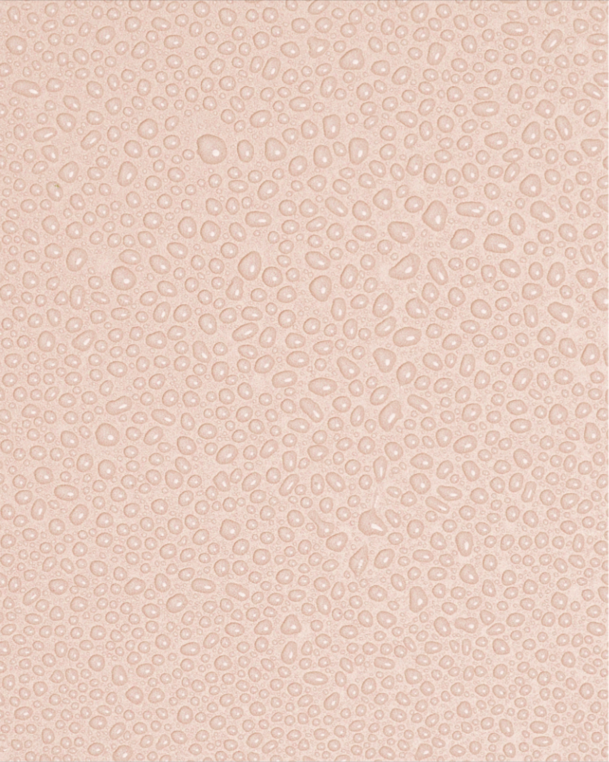 Screenshot+2025-10-15+at+10.57.14%E2%80%AFPM.png