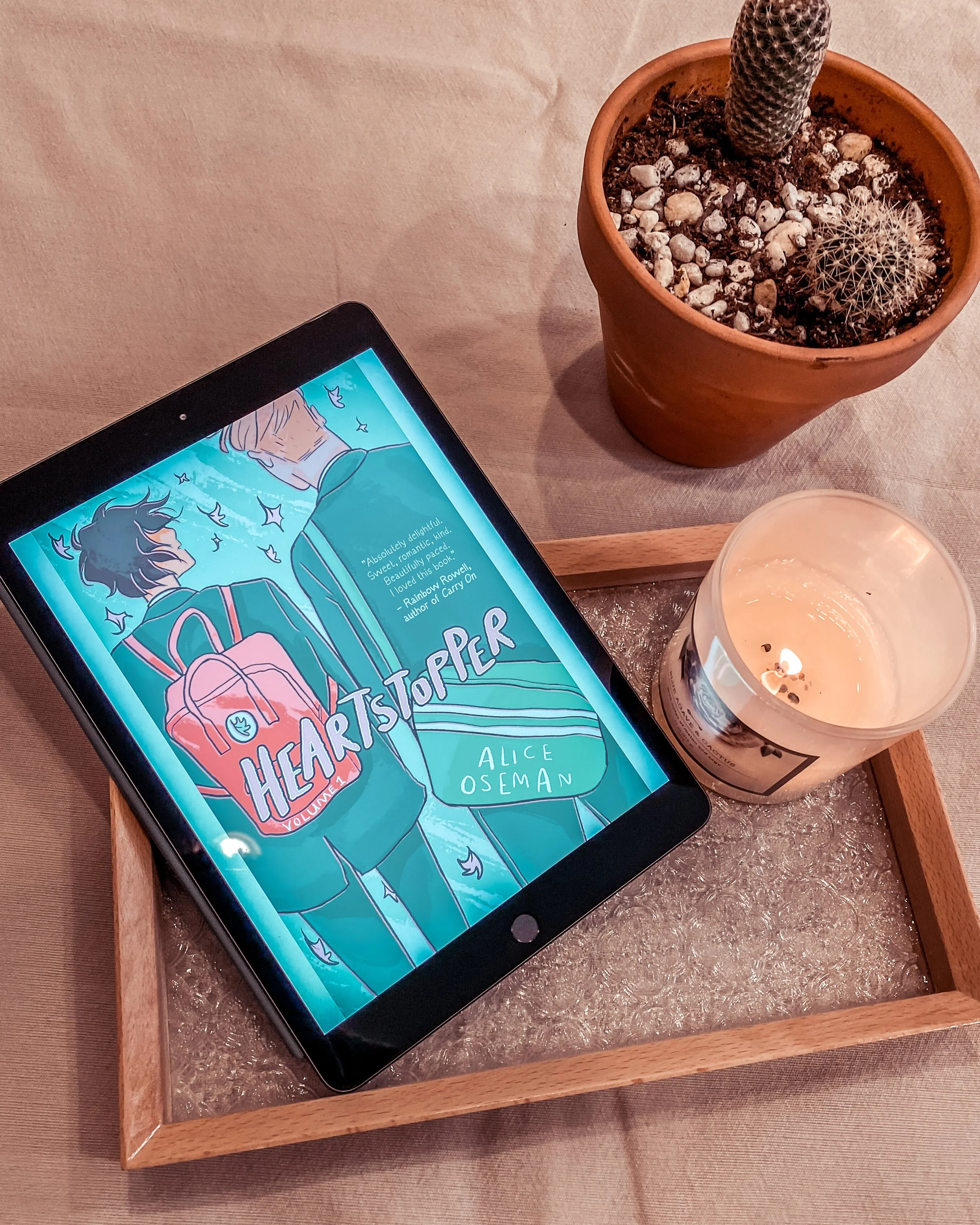 Megs Review: Heartstopper