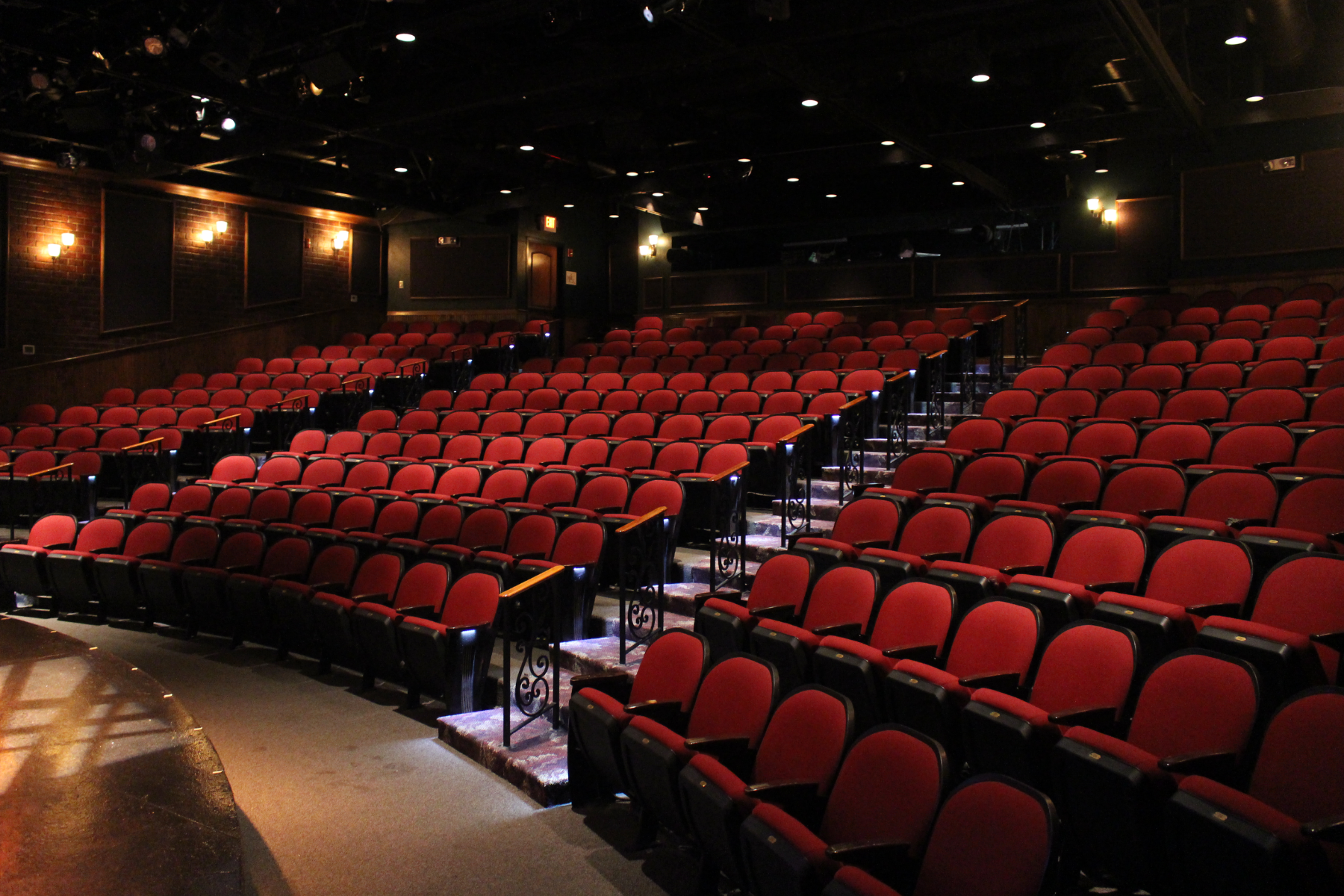 Gompertz Theatre Interior Seating.png