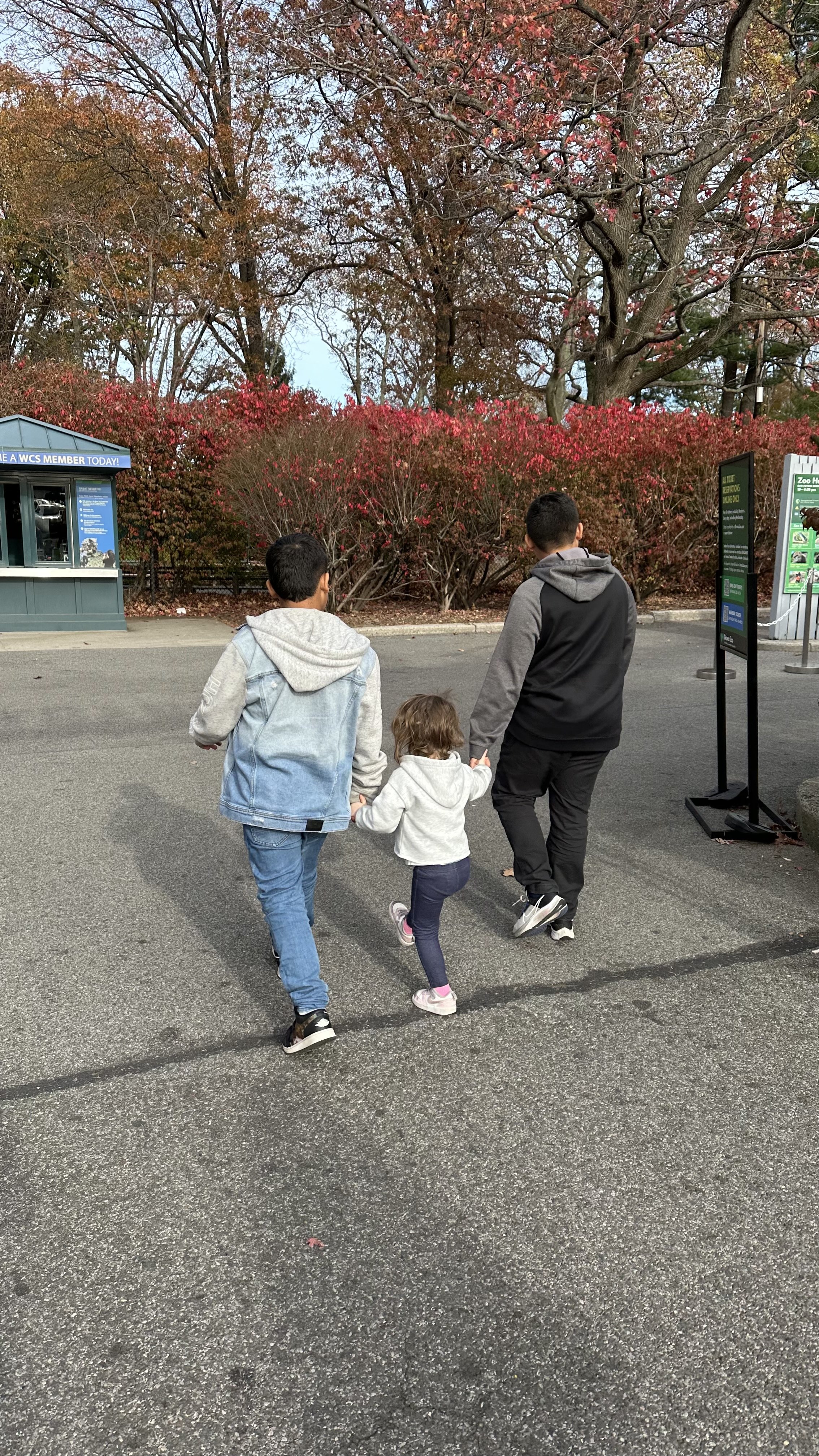 Juju & The Boys go to the Bronx Zoo